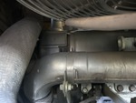 Engine with Exhaust System
