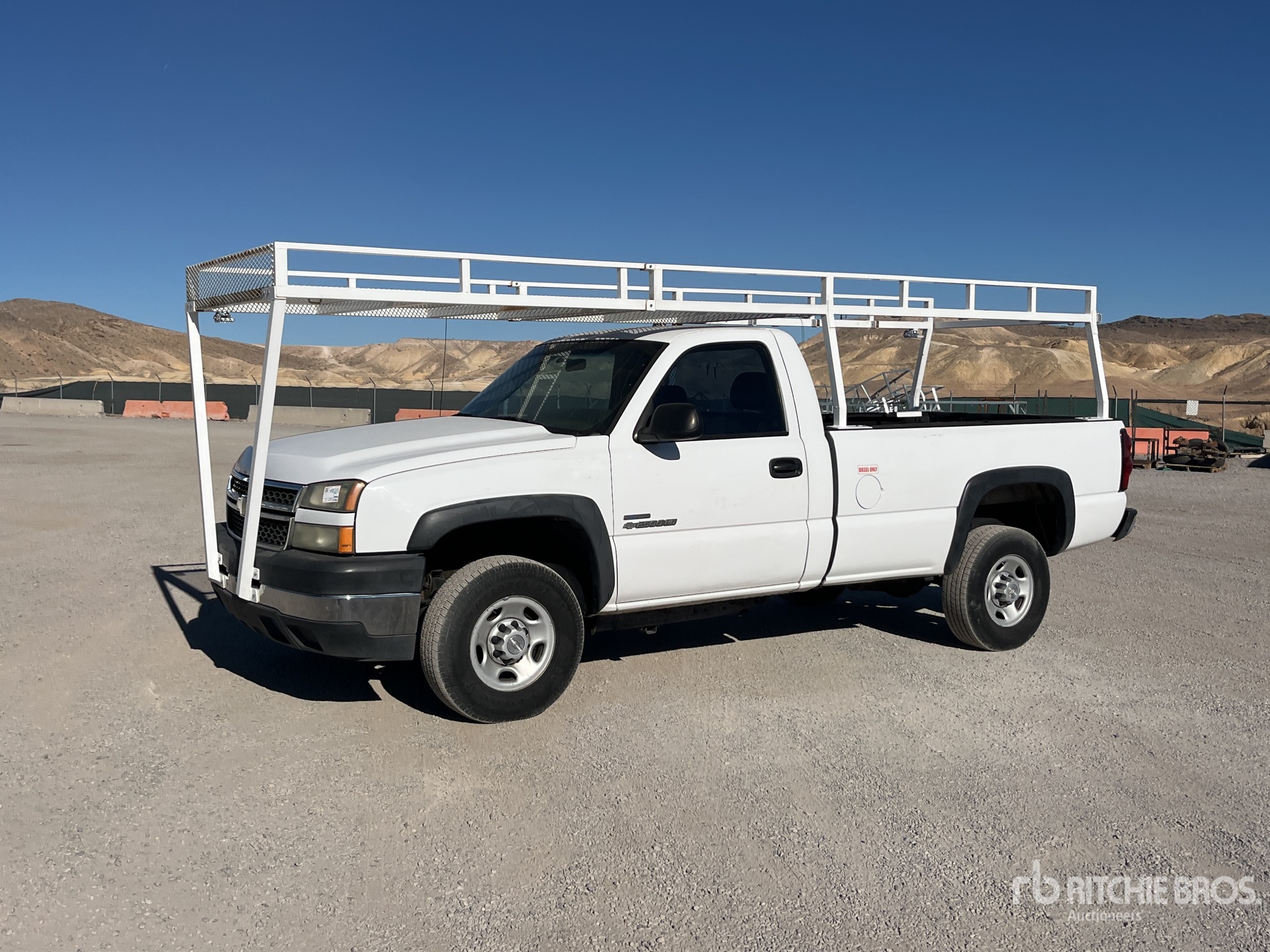 General Appearance with Spin