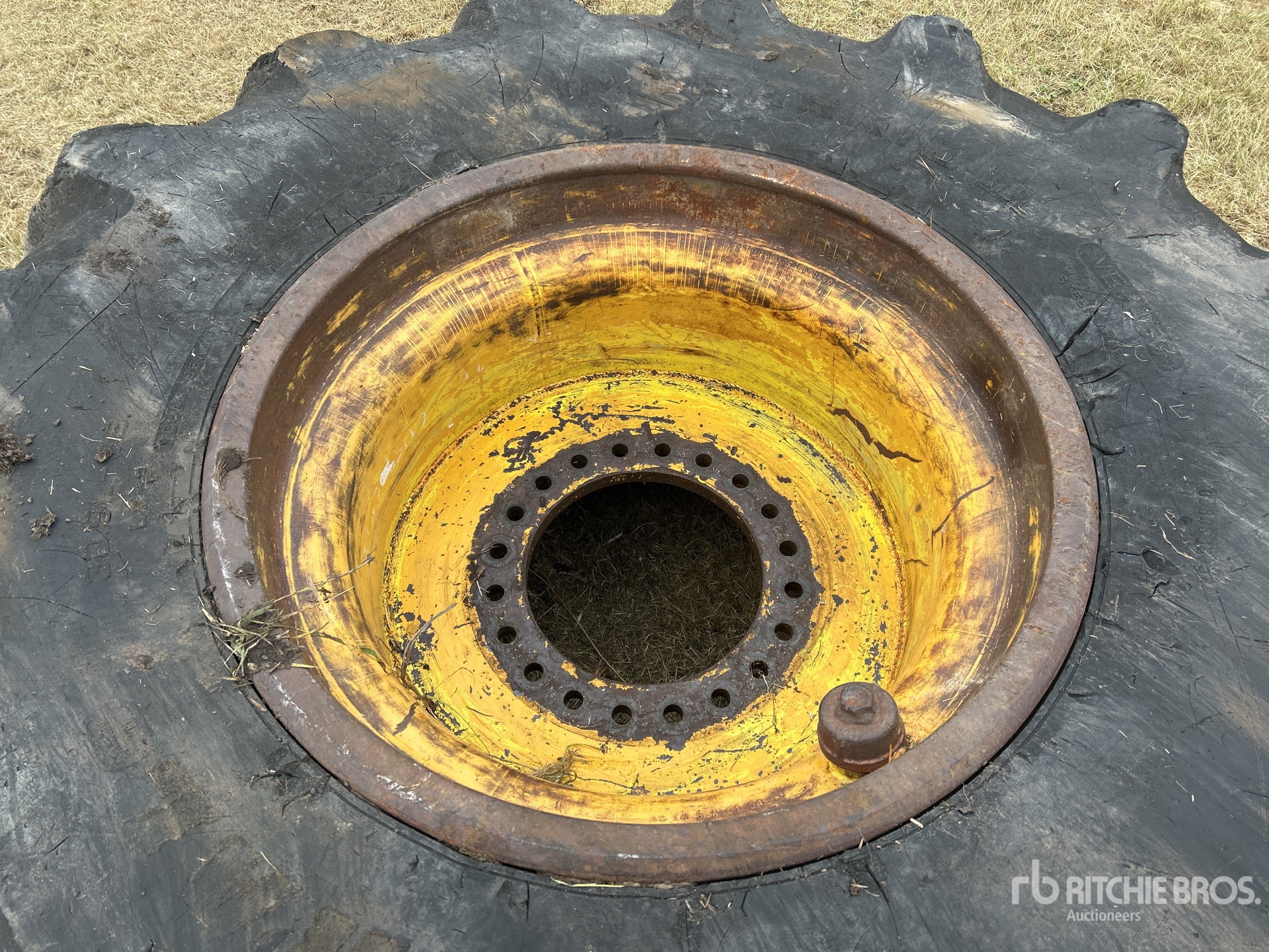 General Appearance with 