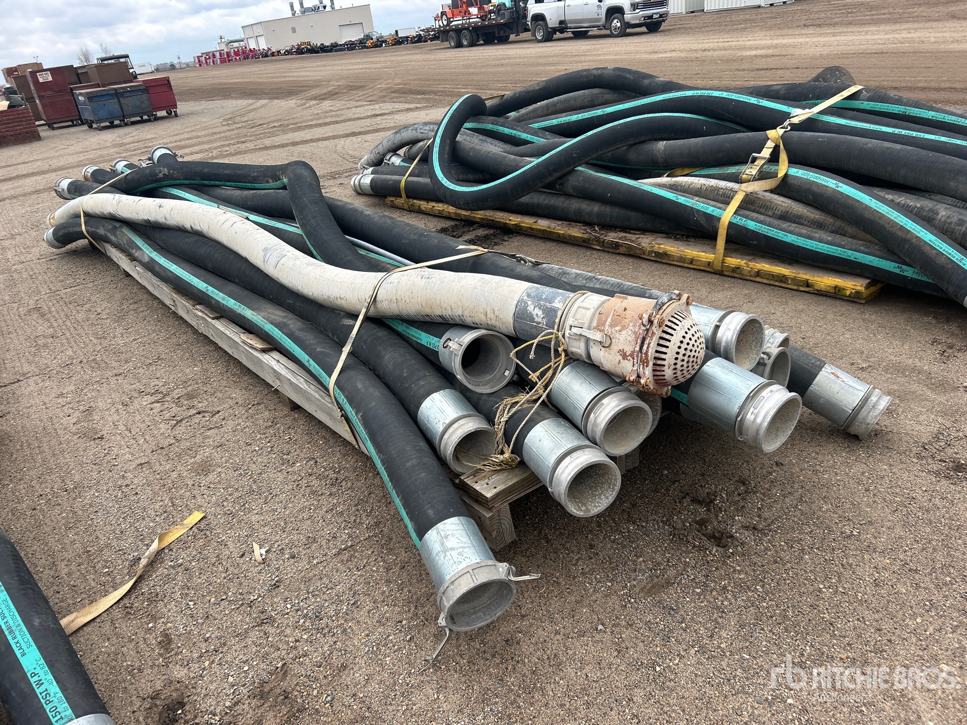 General Appearance with Image, coin arrière droit