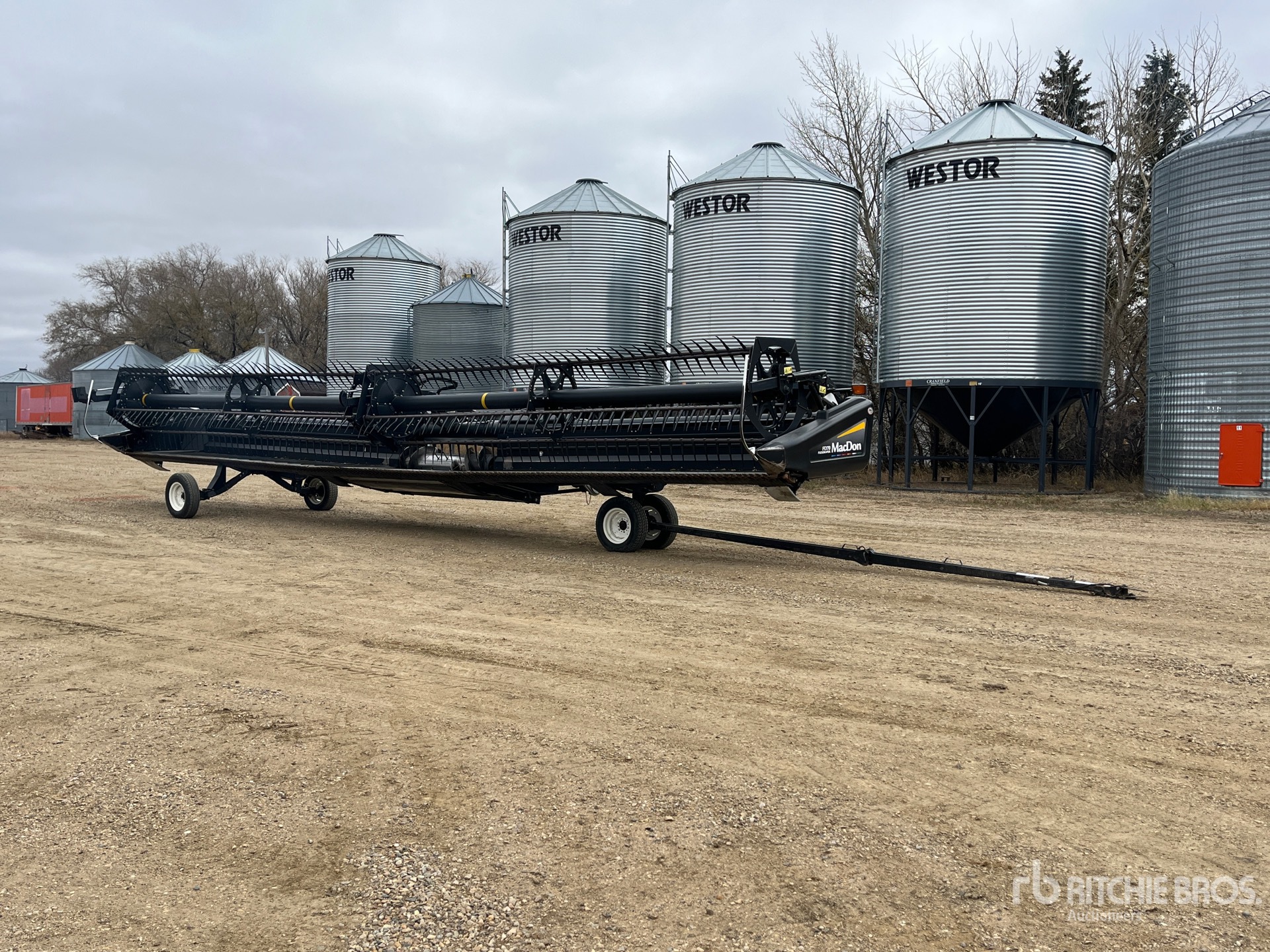 General Appearance with Foto, angolo anteriore sinistro