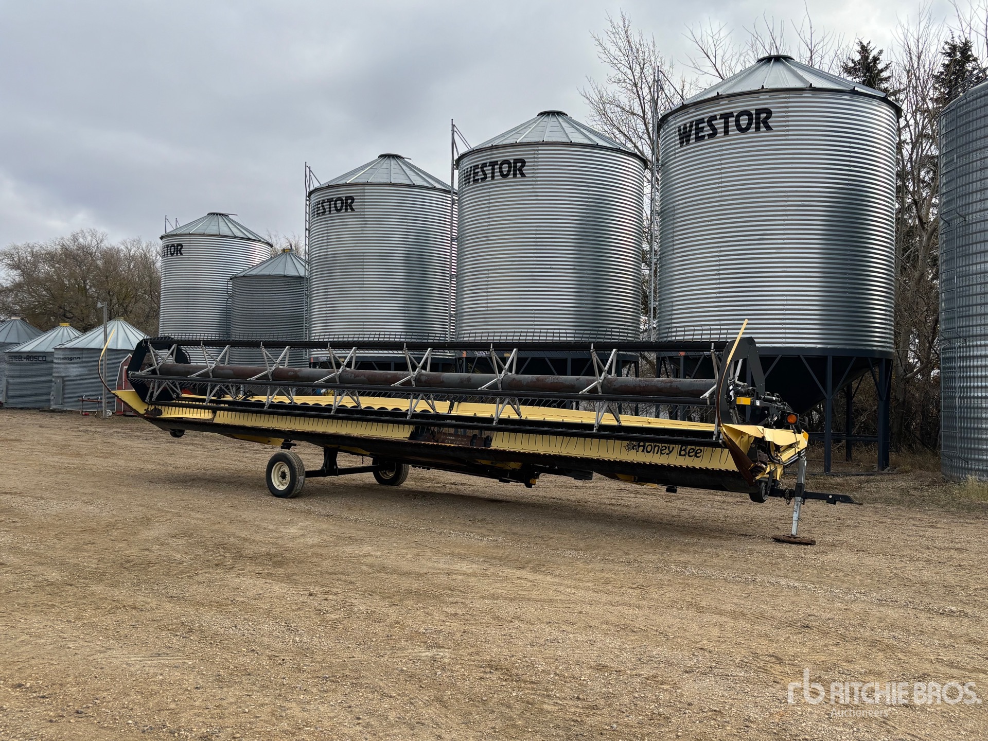 General Appearance with Foto, angolo anteriore sinistro