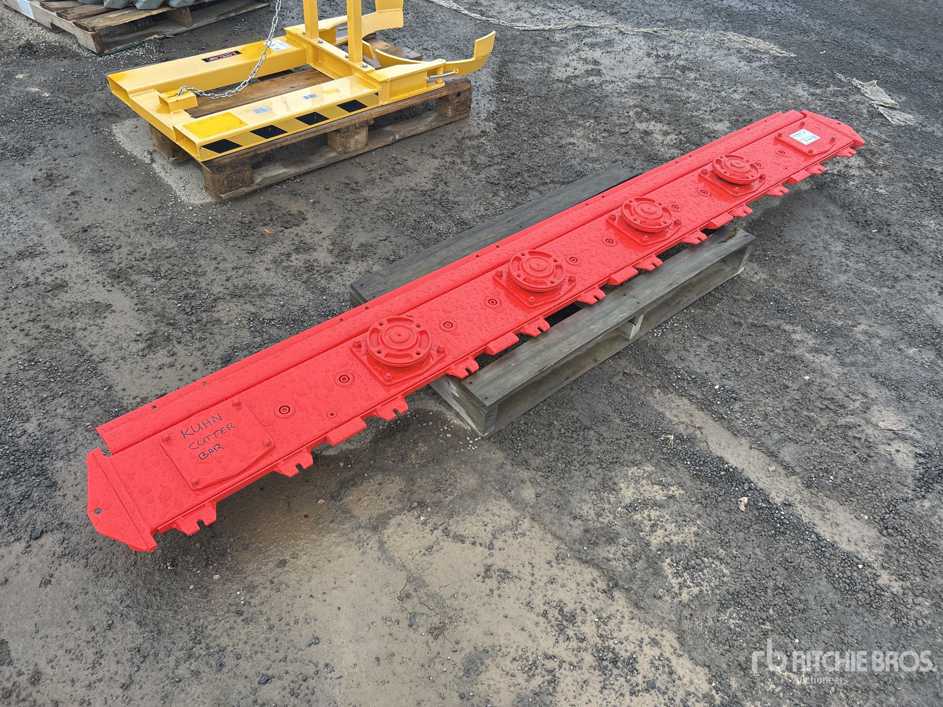 General Appearance with Zdjęcie, lewy dolny róg