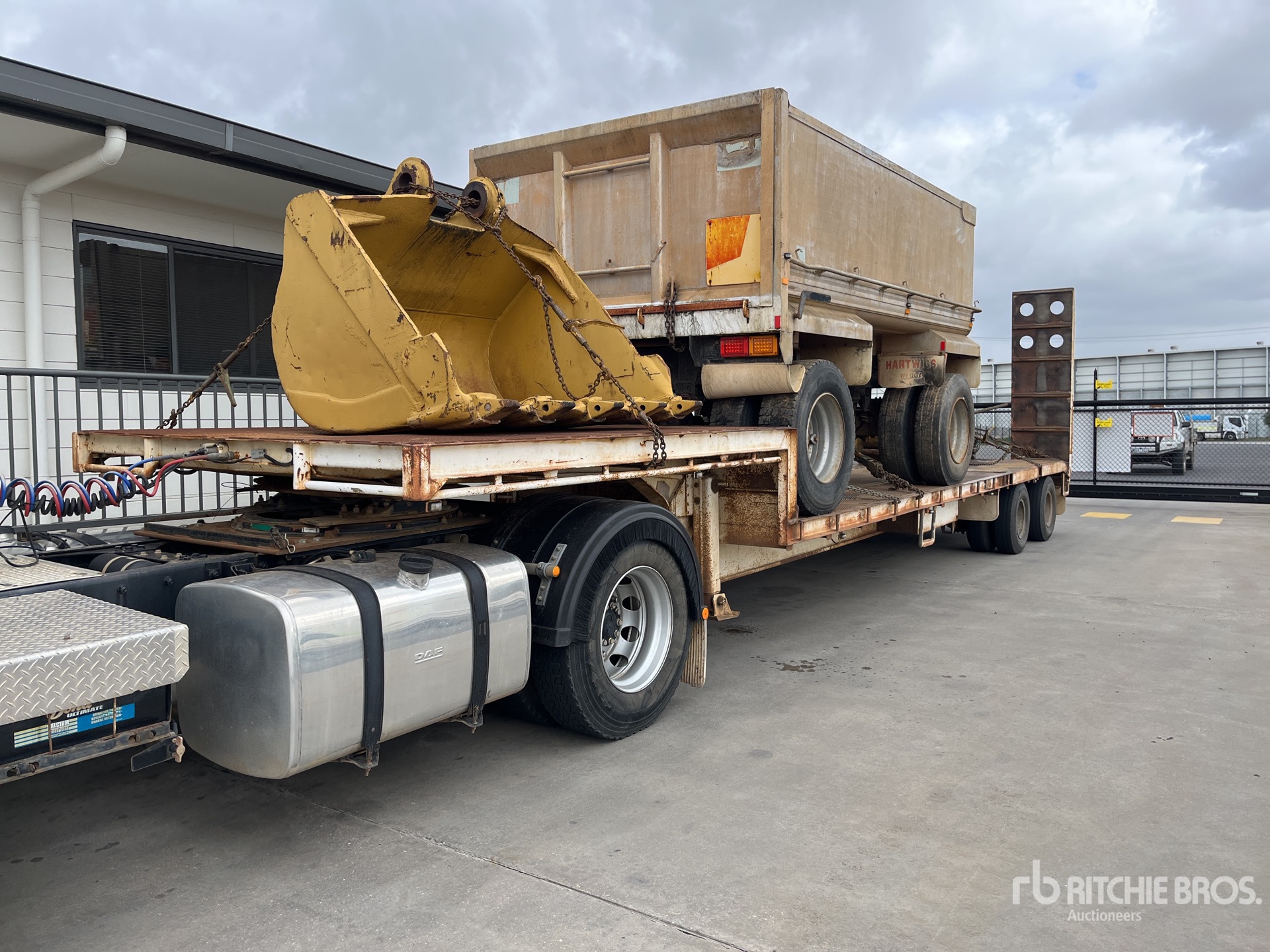 General Appearance with 