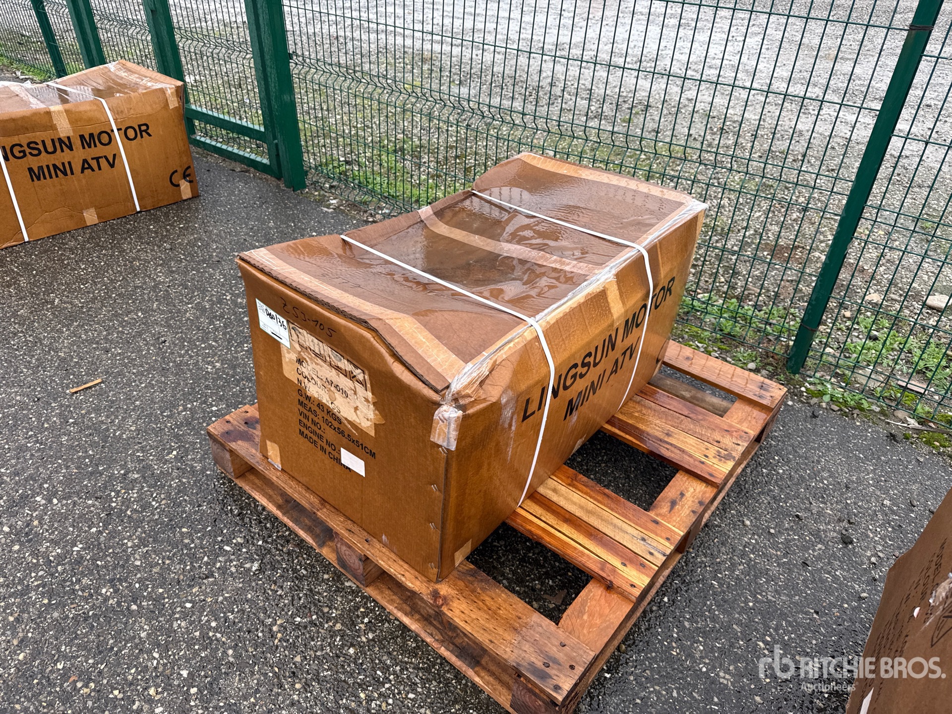 General Appearance with 