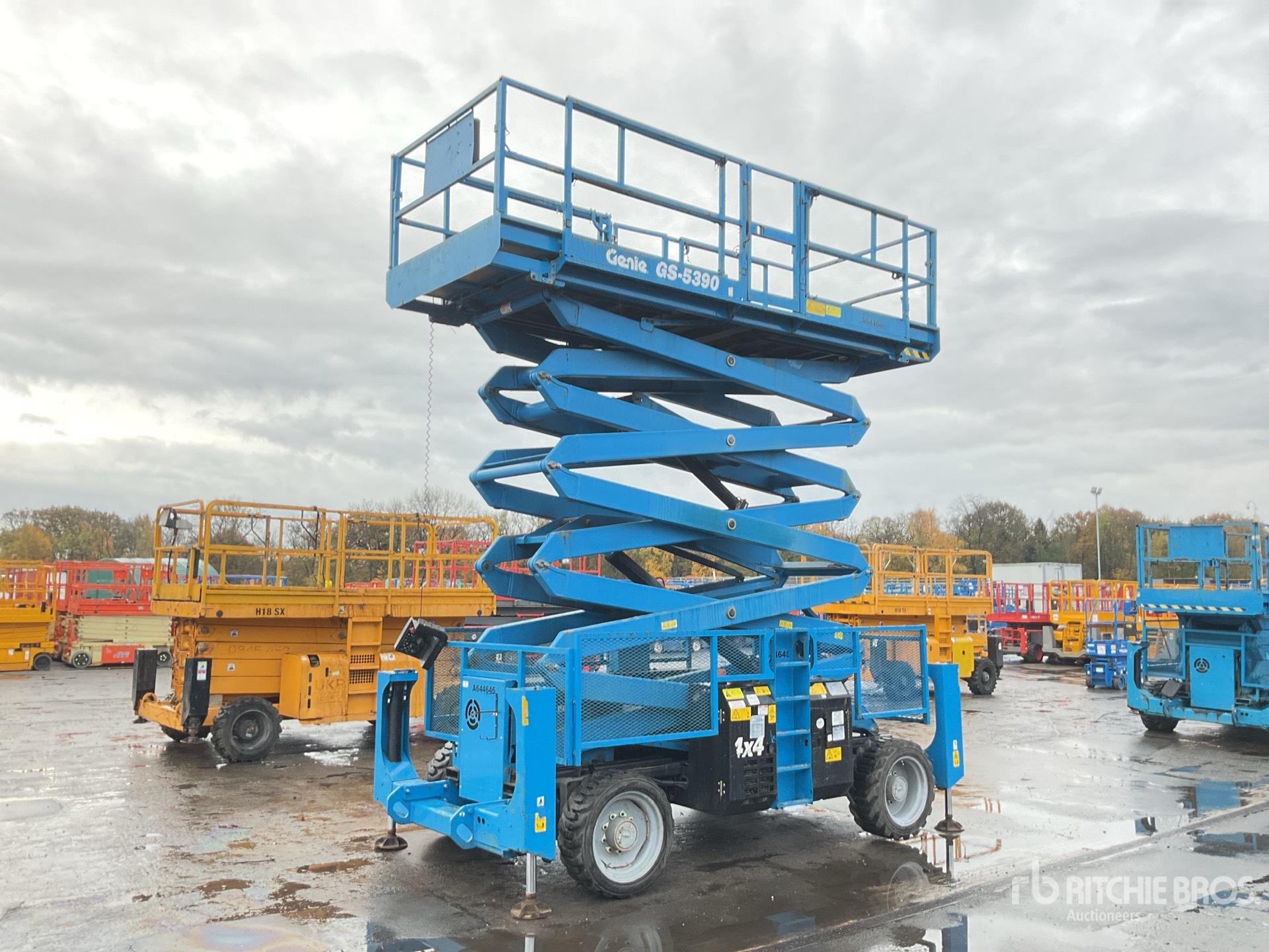 General Appearance with Featured Photo