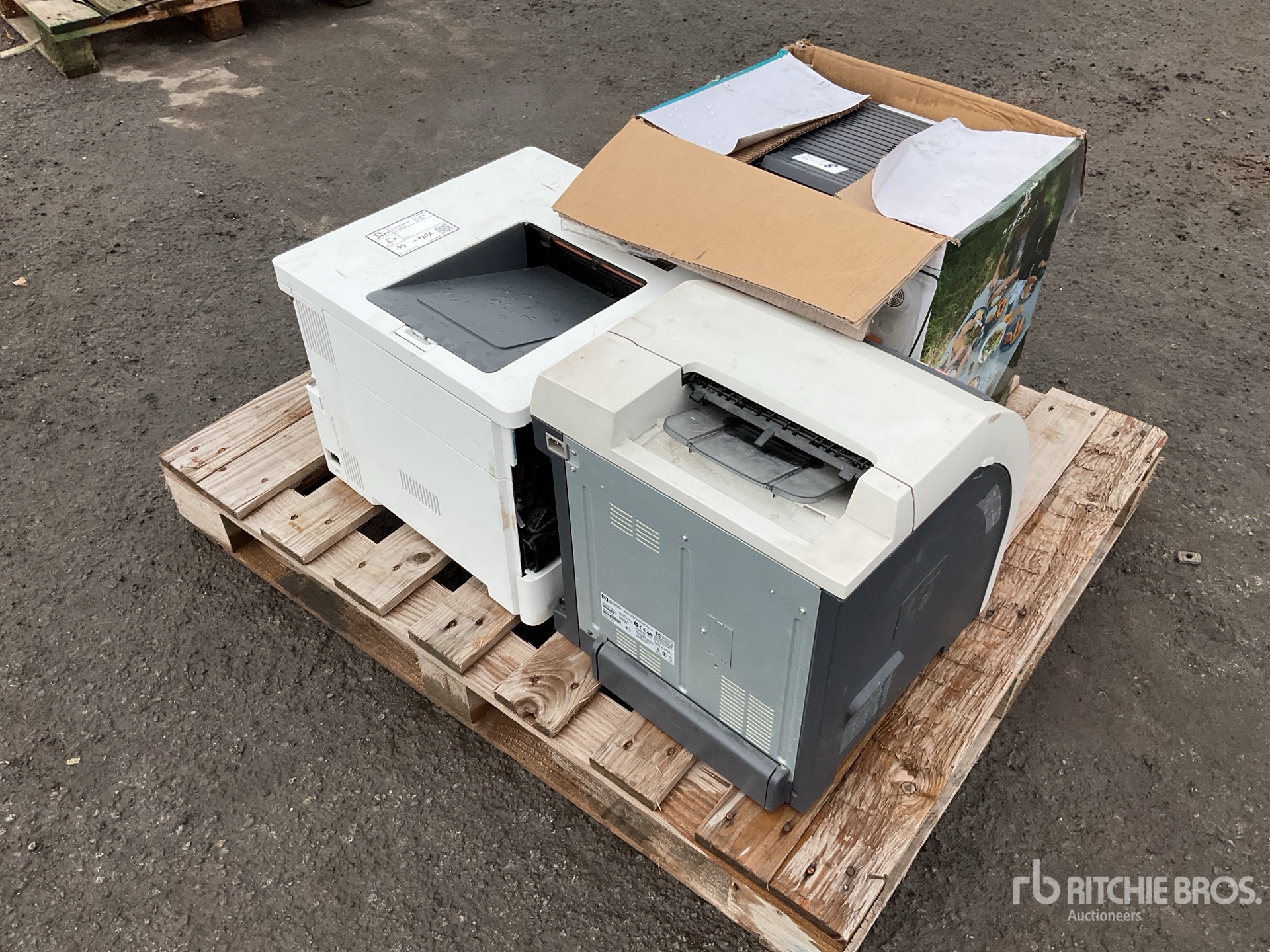 General Appearance with Bild, Ecke hinten links