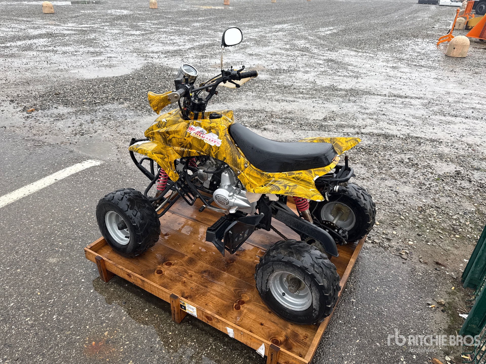 General Appearance with