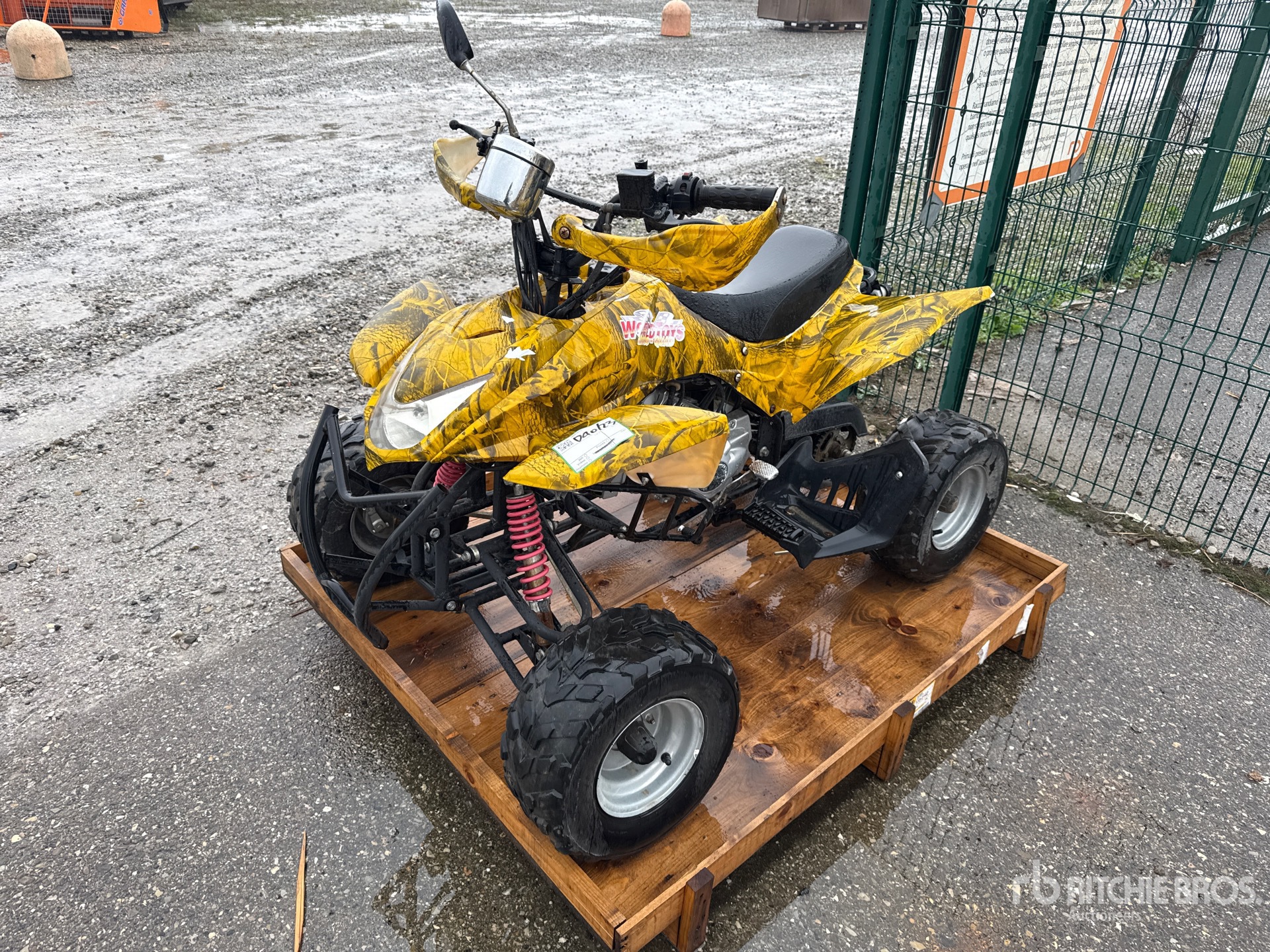 General Appearance with