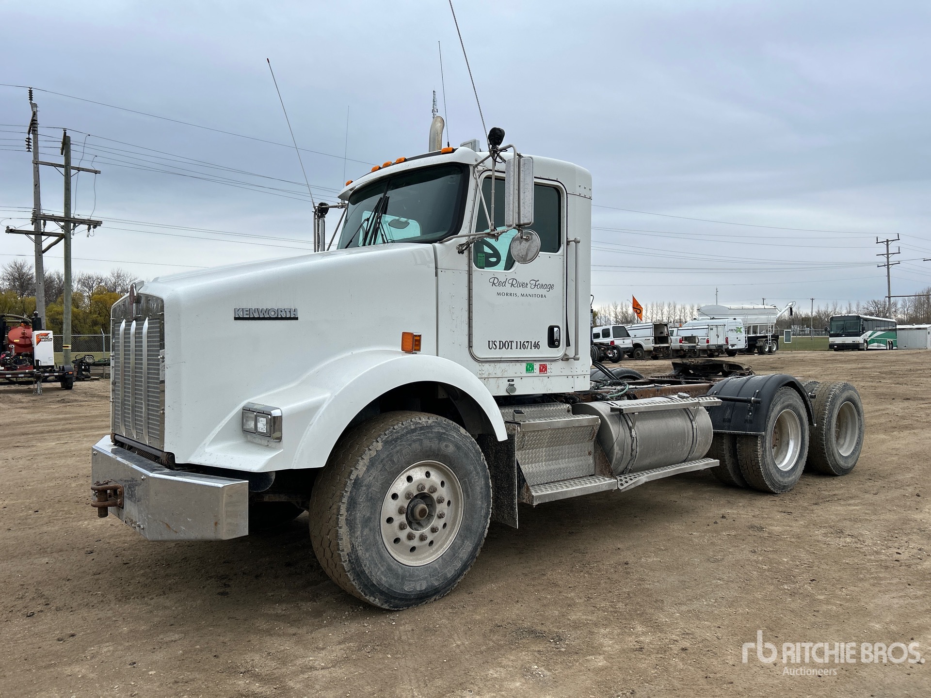 General Appearance with Spin