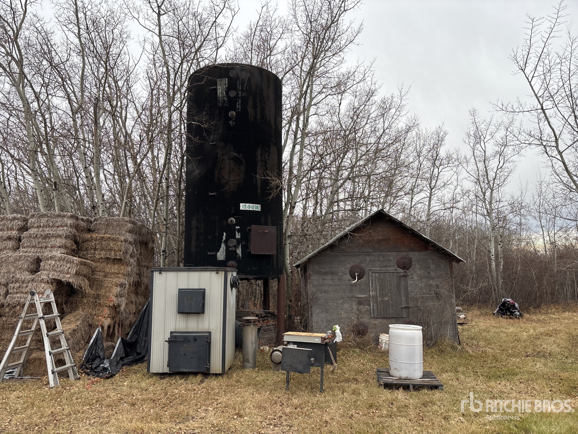General Appearance with Bild, Ecke hinten links