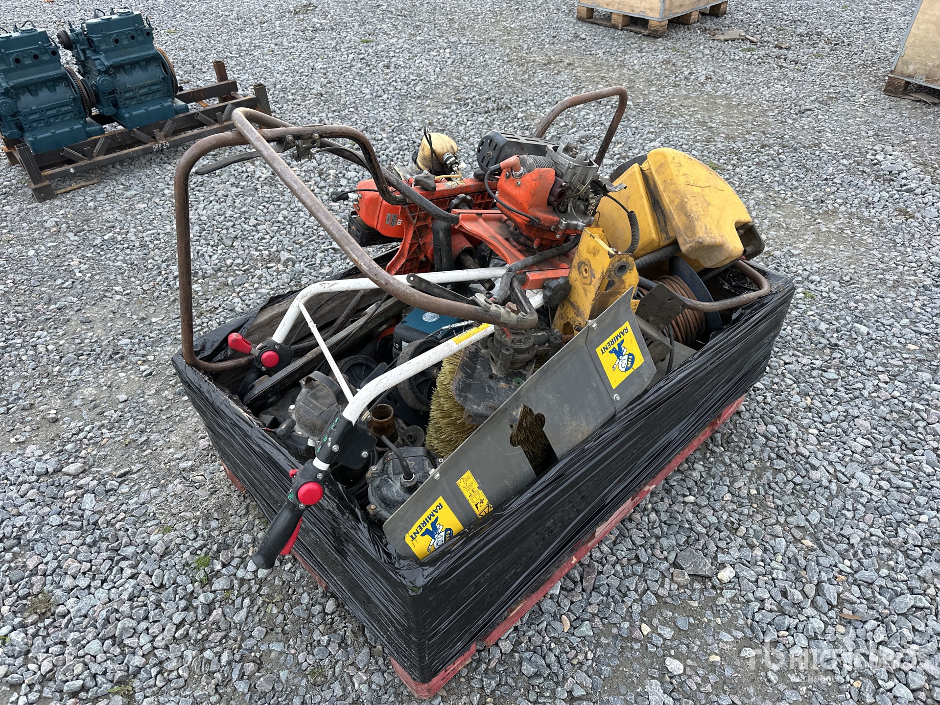 General Appearance with Zdjęcie, prawy dolny róg