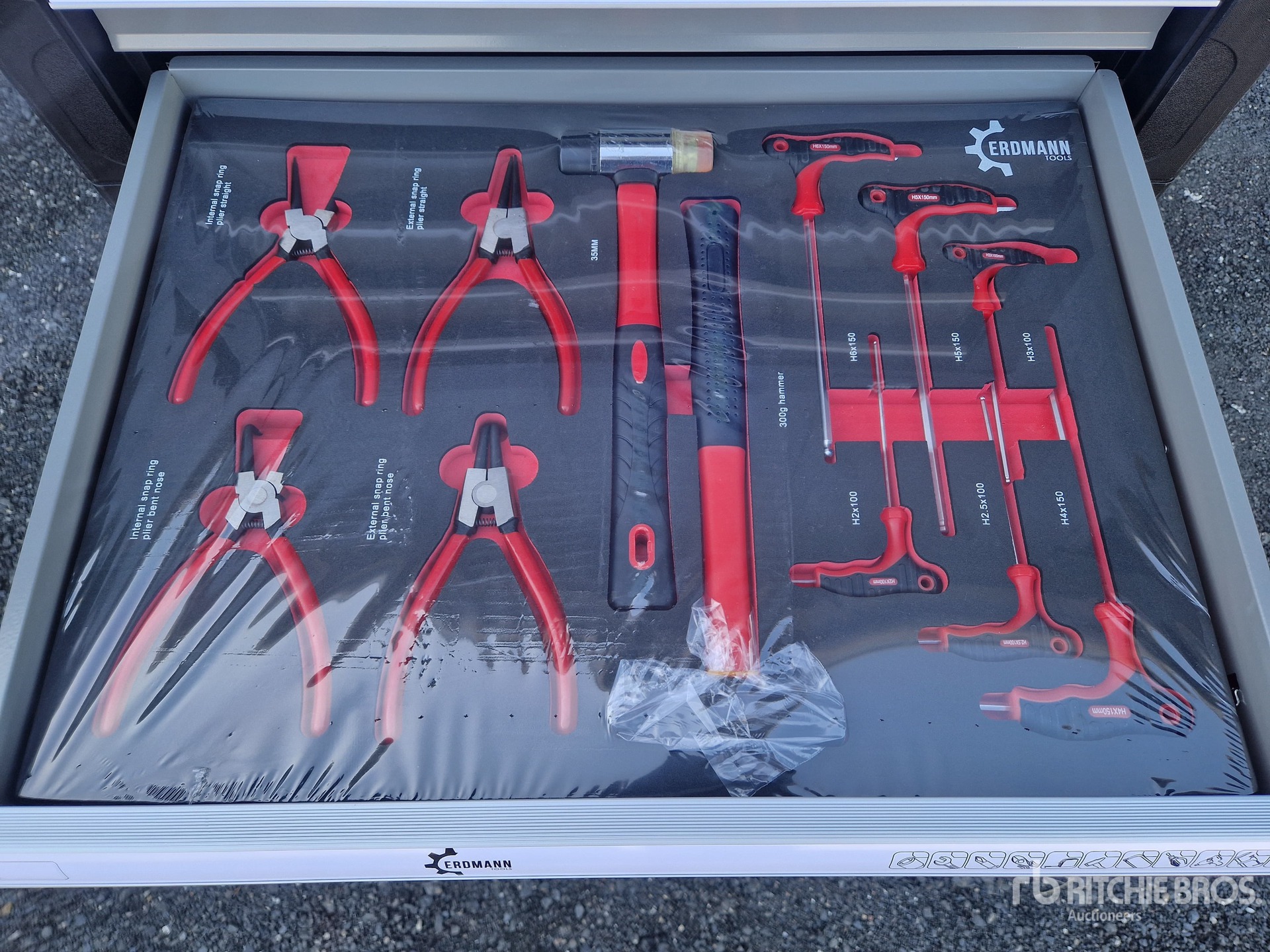 General Appearance with