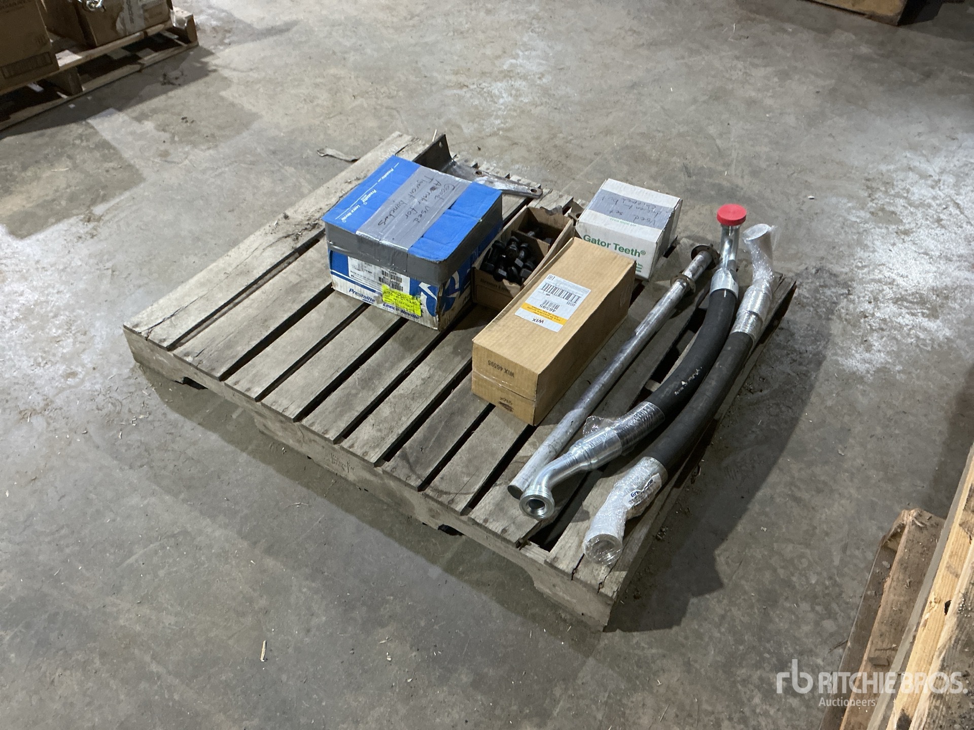 General Appearance with Bild, Ecke hinten links