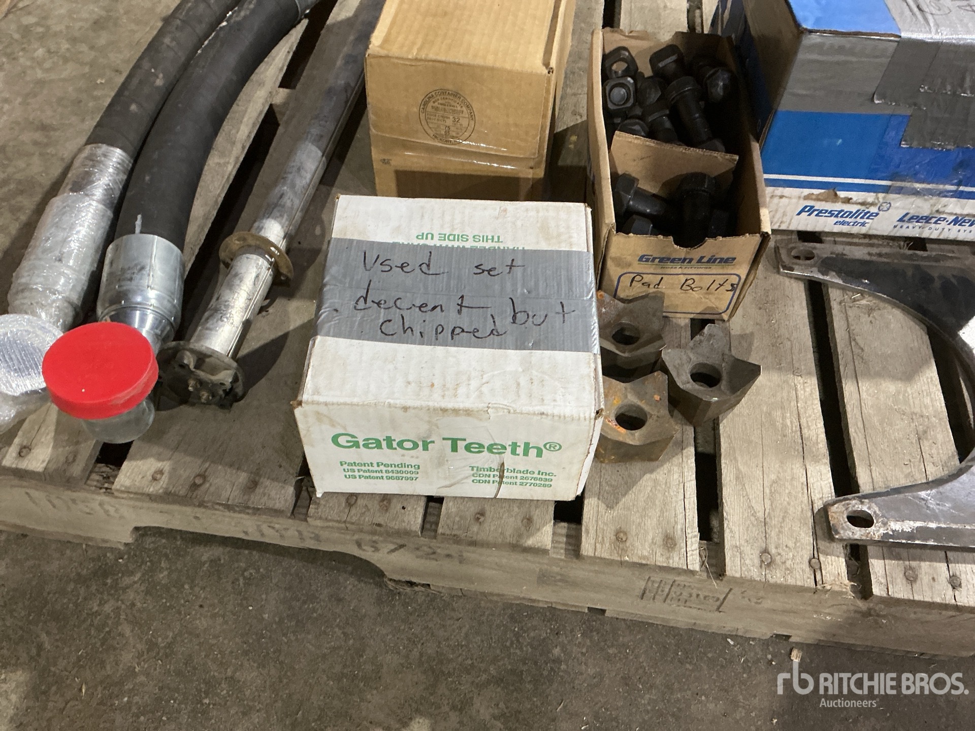 General Appearance with 