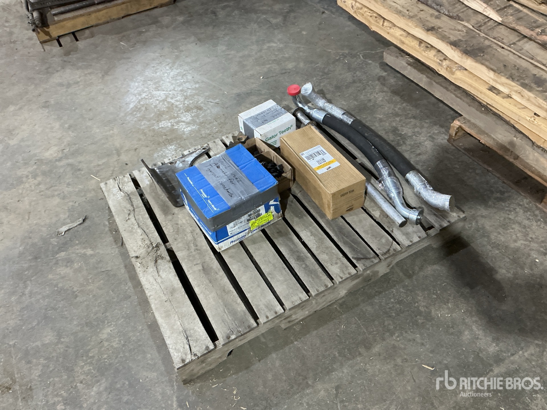 General Appearance with Bild, Ecke vorne links