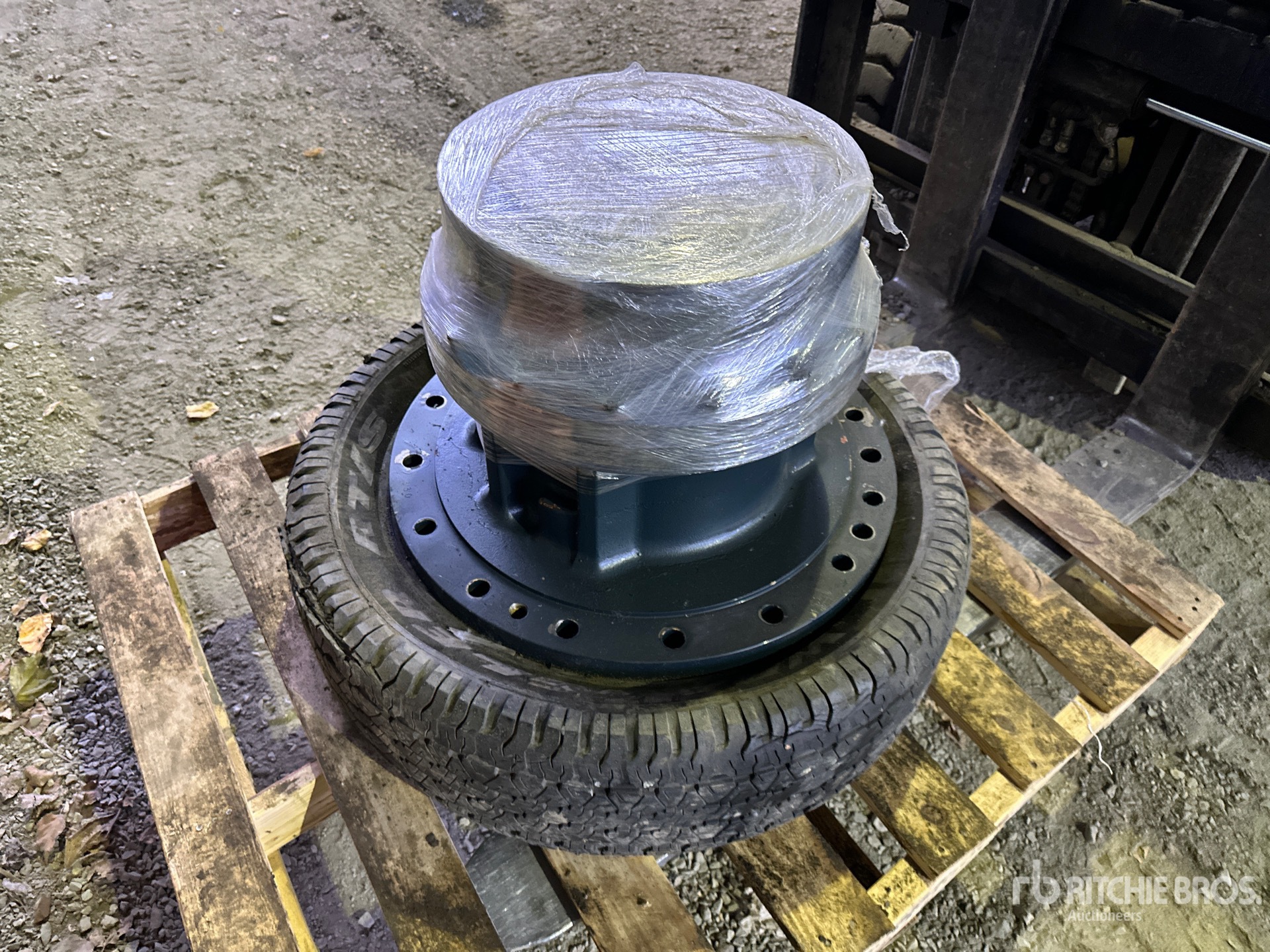 General Appearance with 