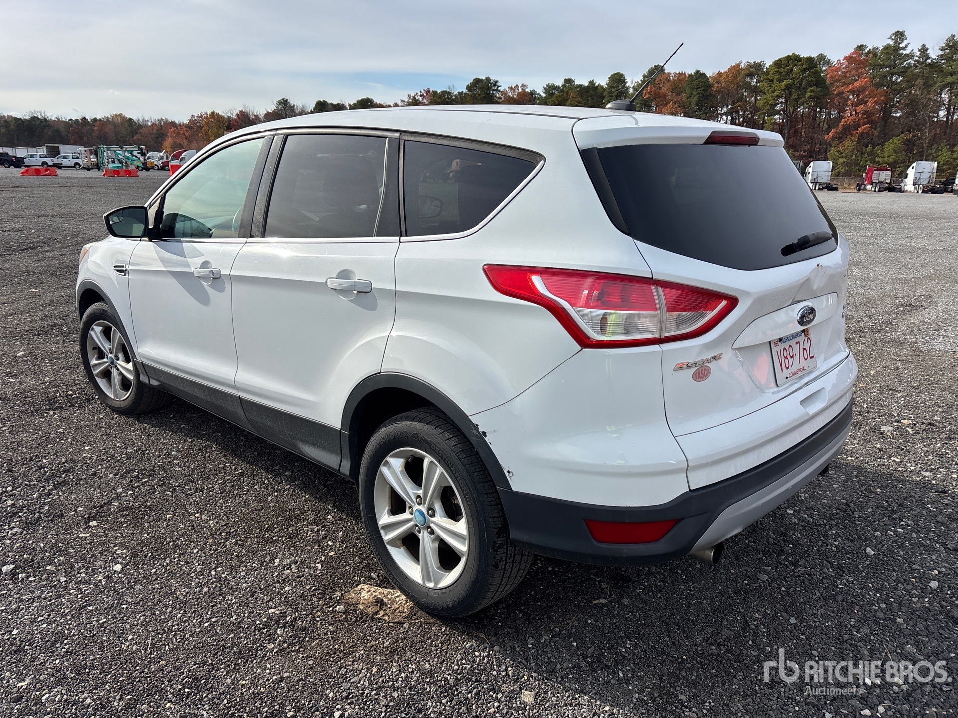 General Appearance with Zdjęcie, lewy dolny róg