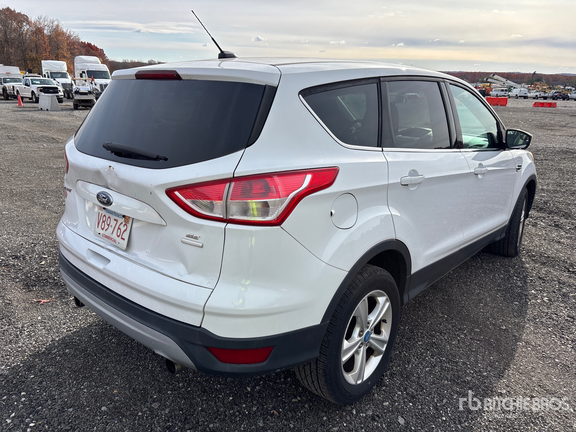 General Appearance with Zdjęcie, prawy dolny róg