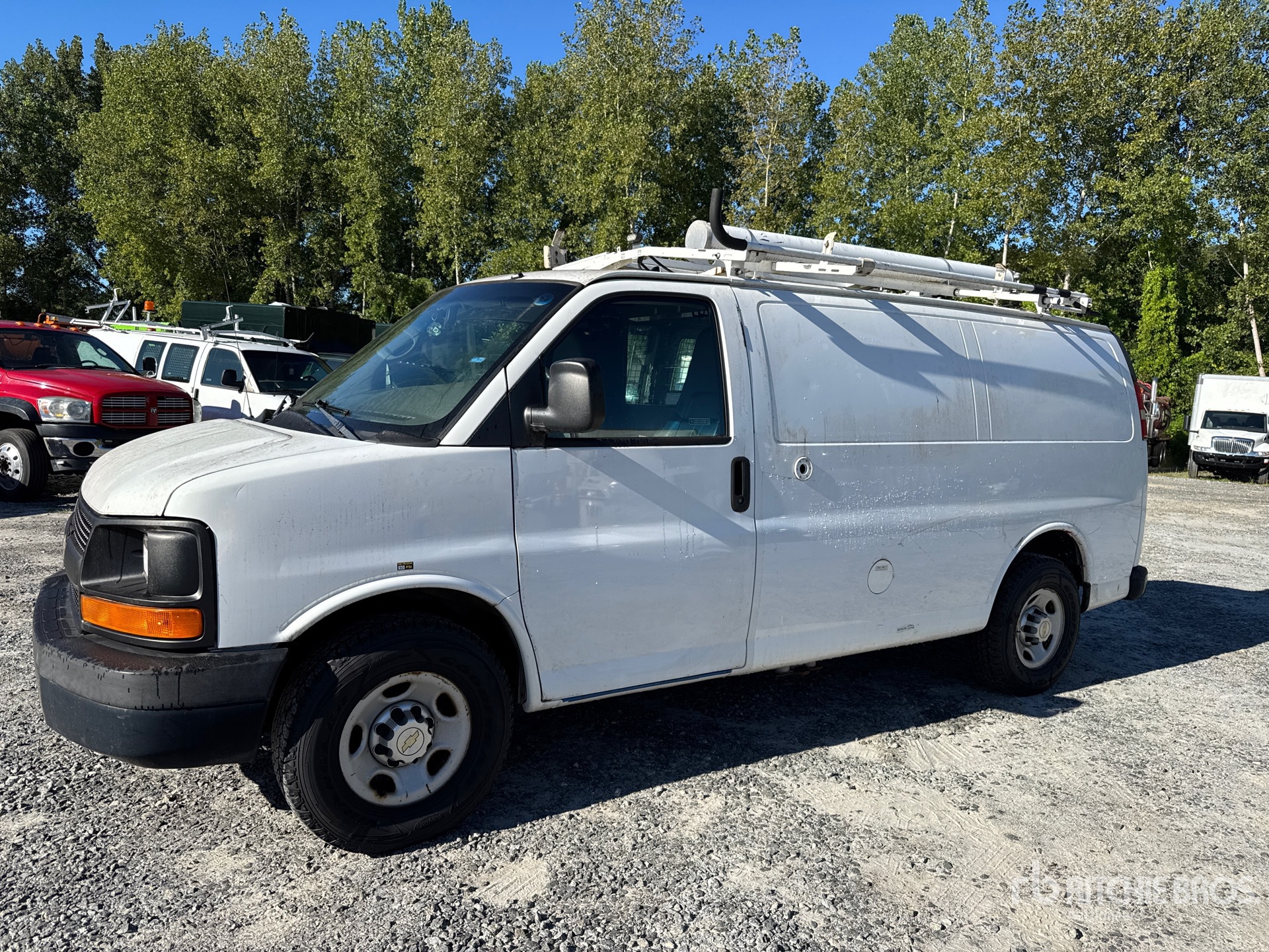 General Appearance with Spin