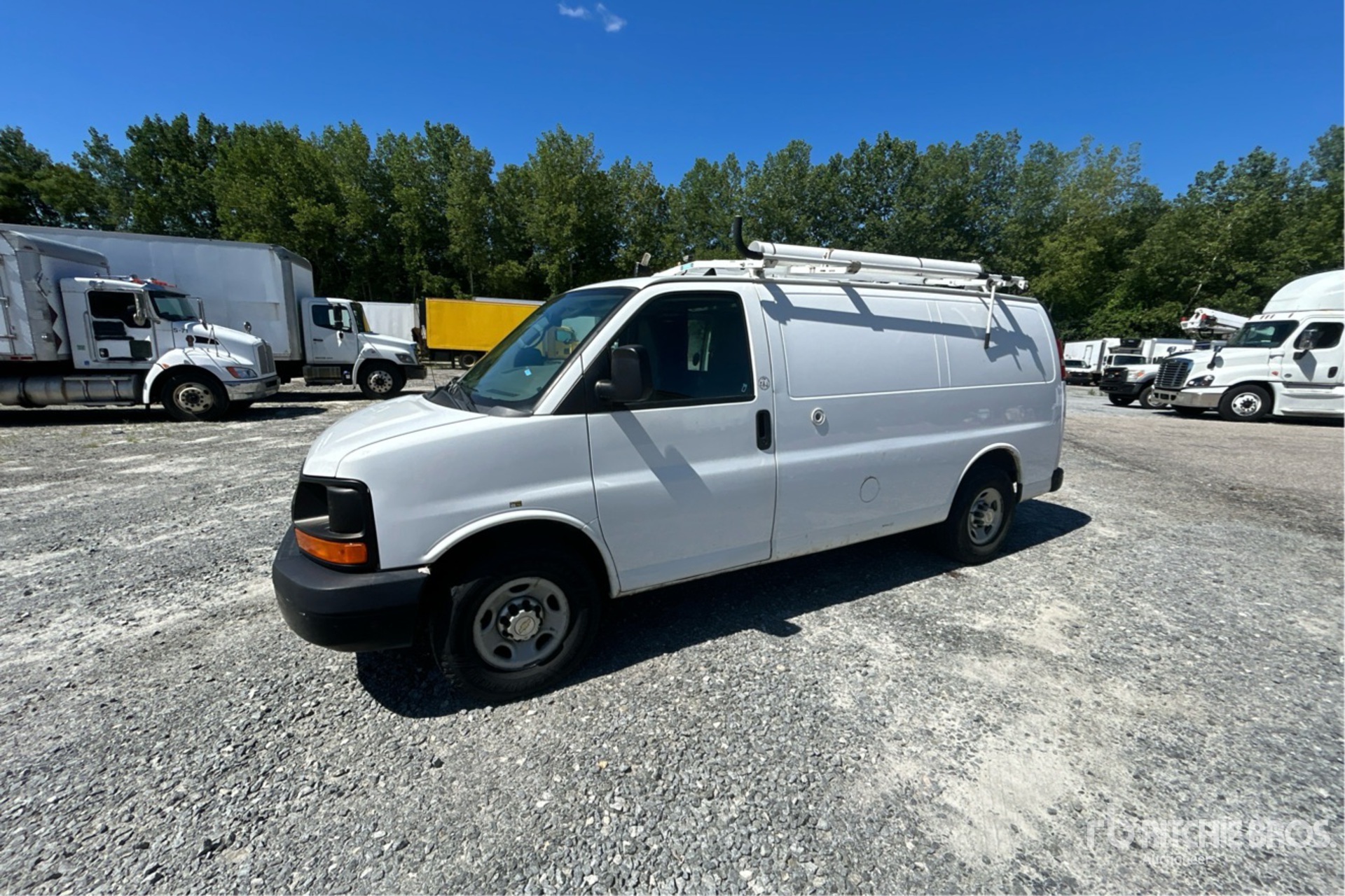 General Appearance with Spin