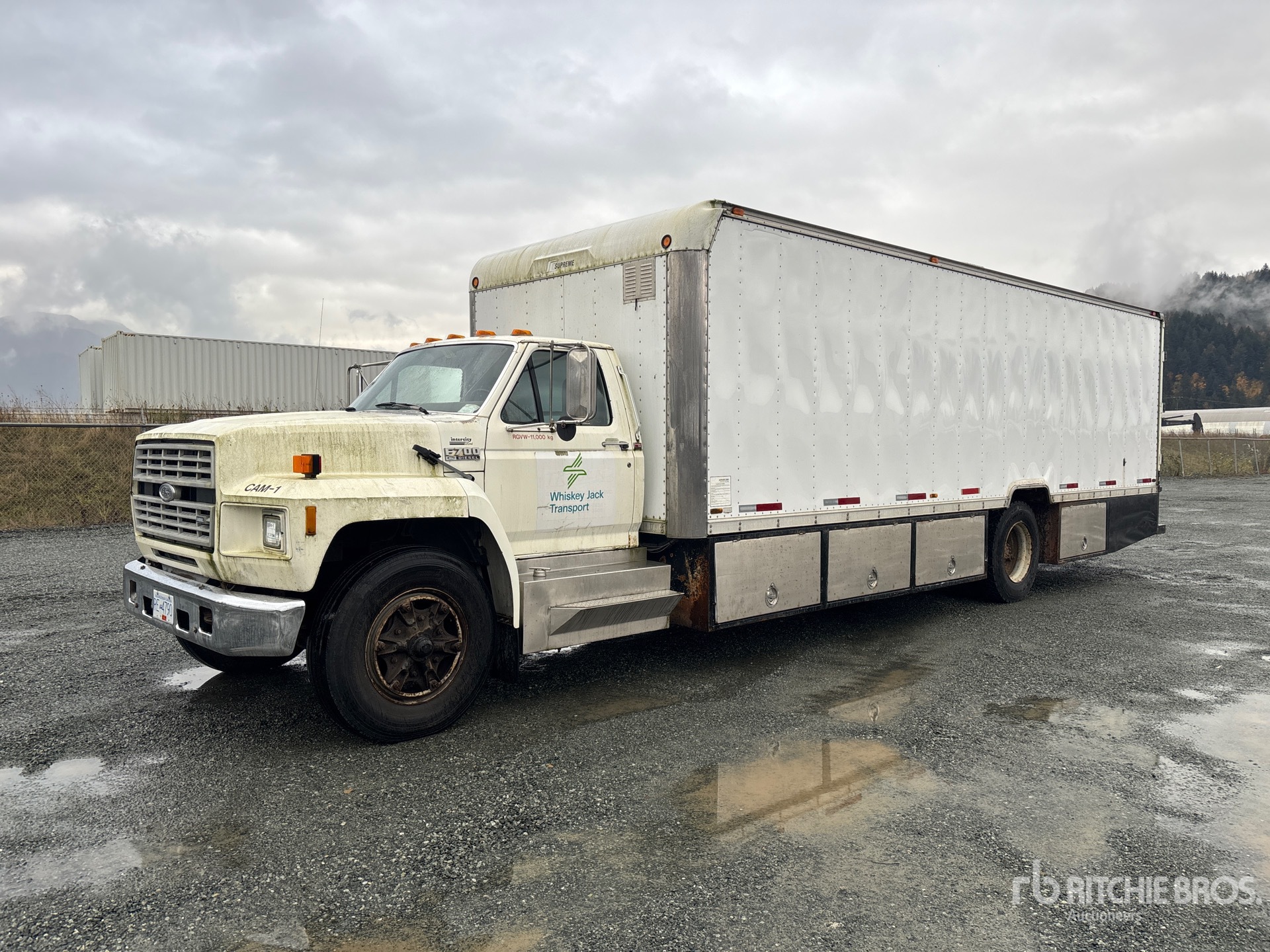 General Appearance with Spin