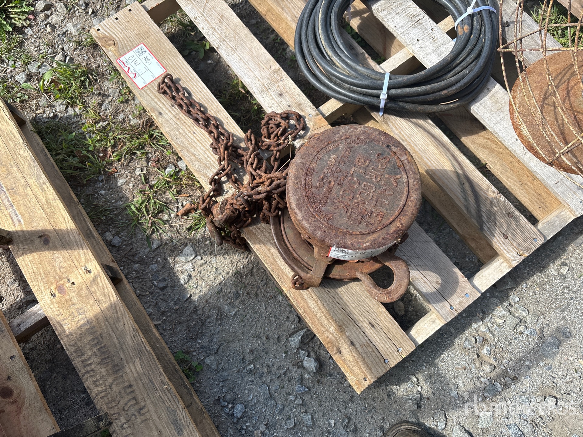 General Appearance with 