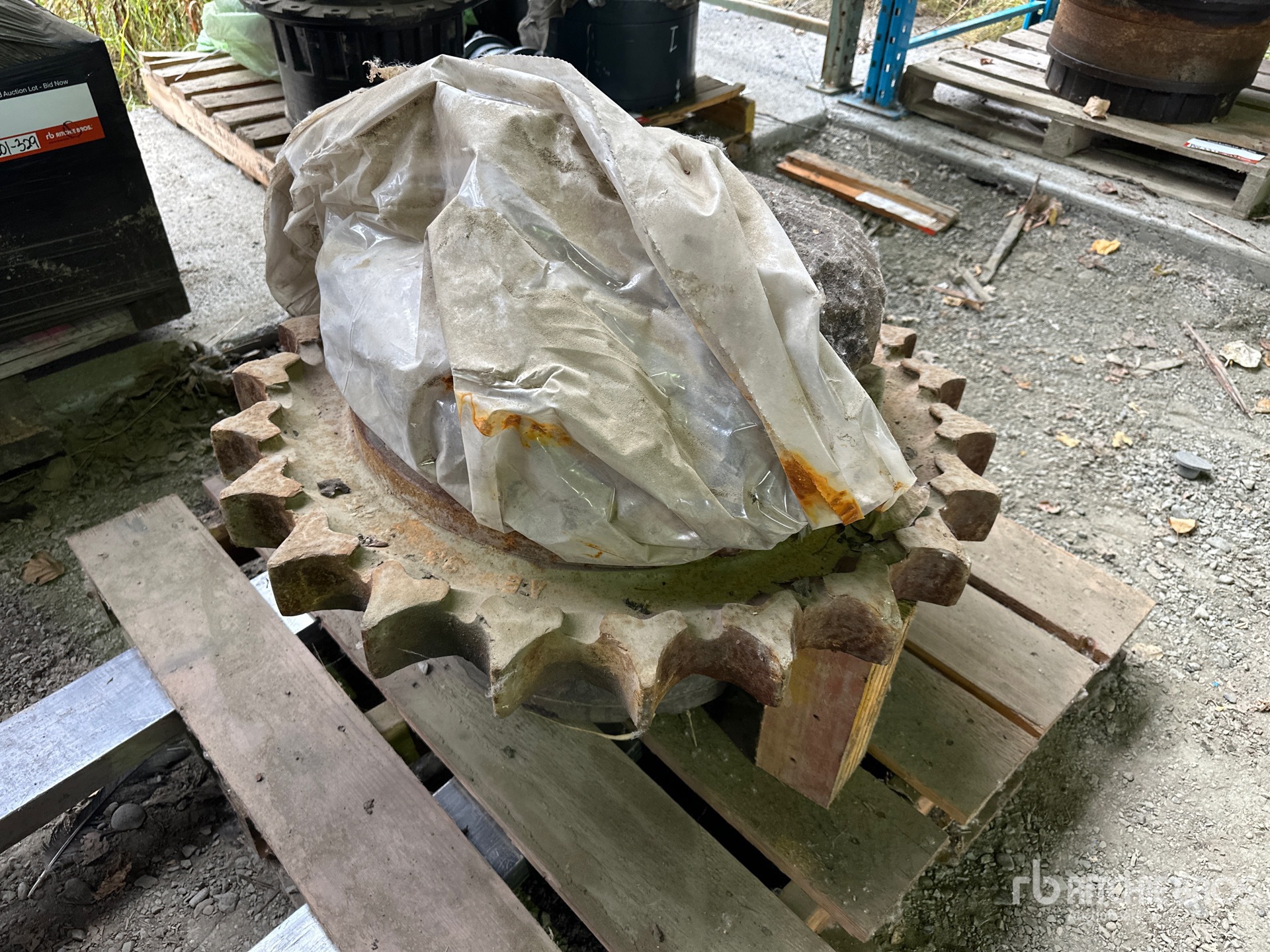 General Appearance with Zdjęcie, lewy górny róg