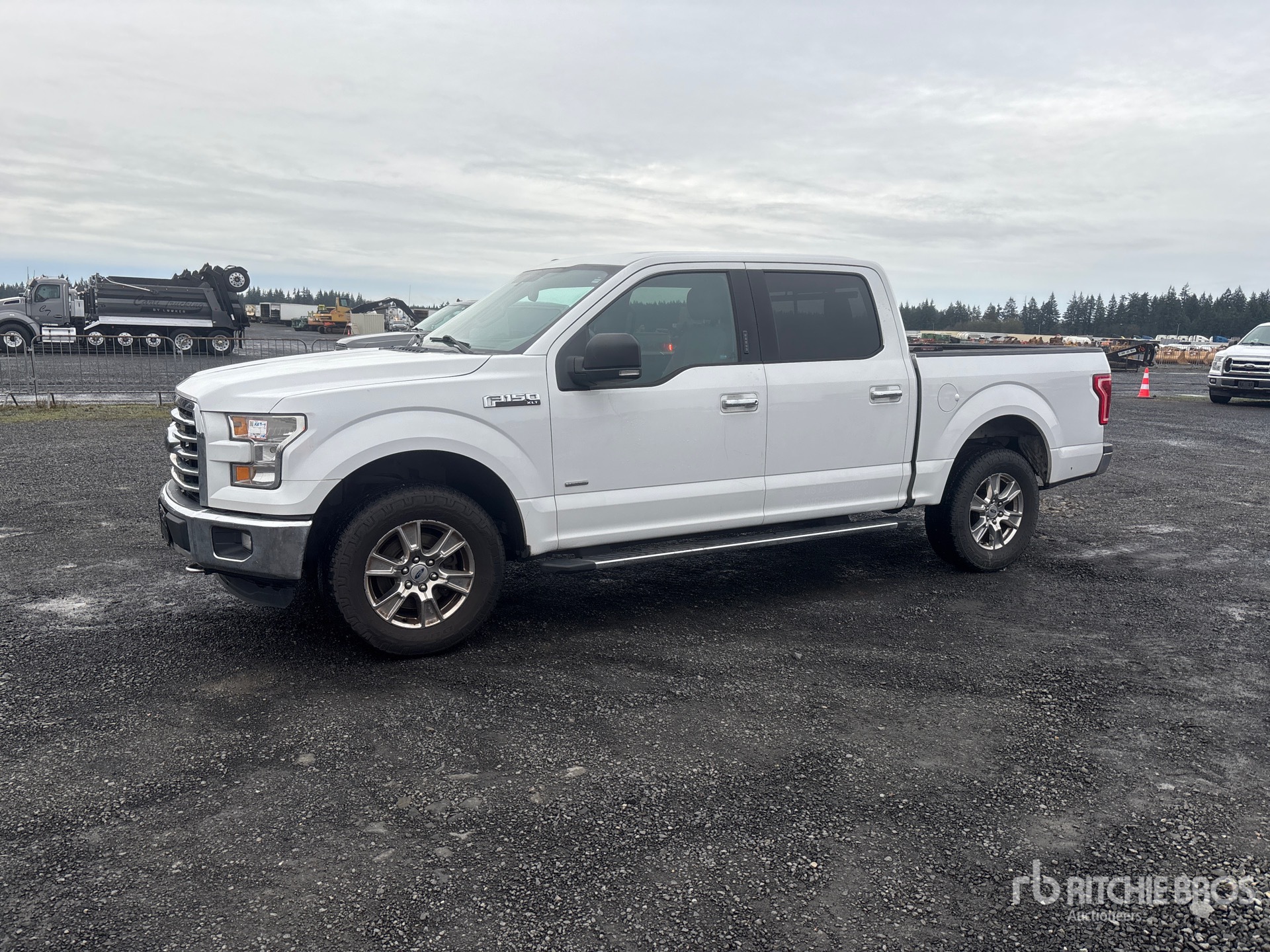 General Appearance with Spin