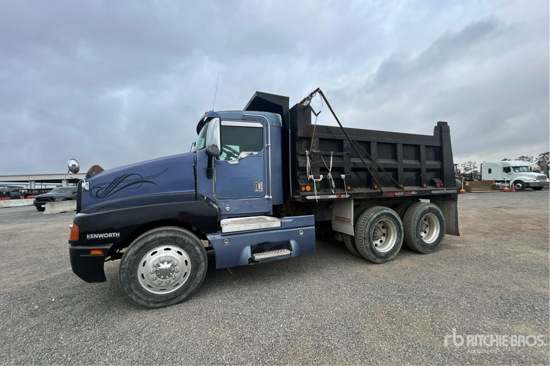 General Appearance with Spin