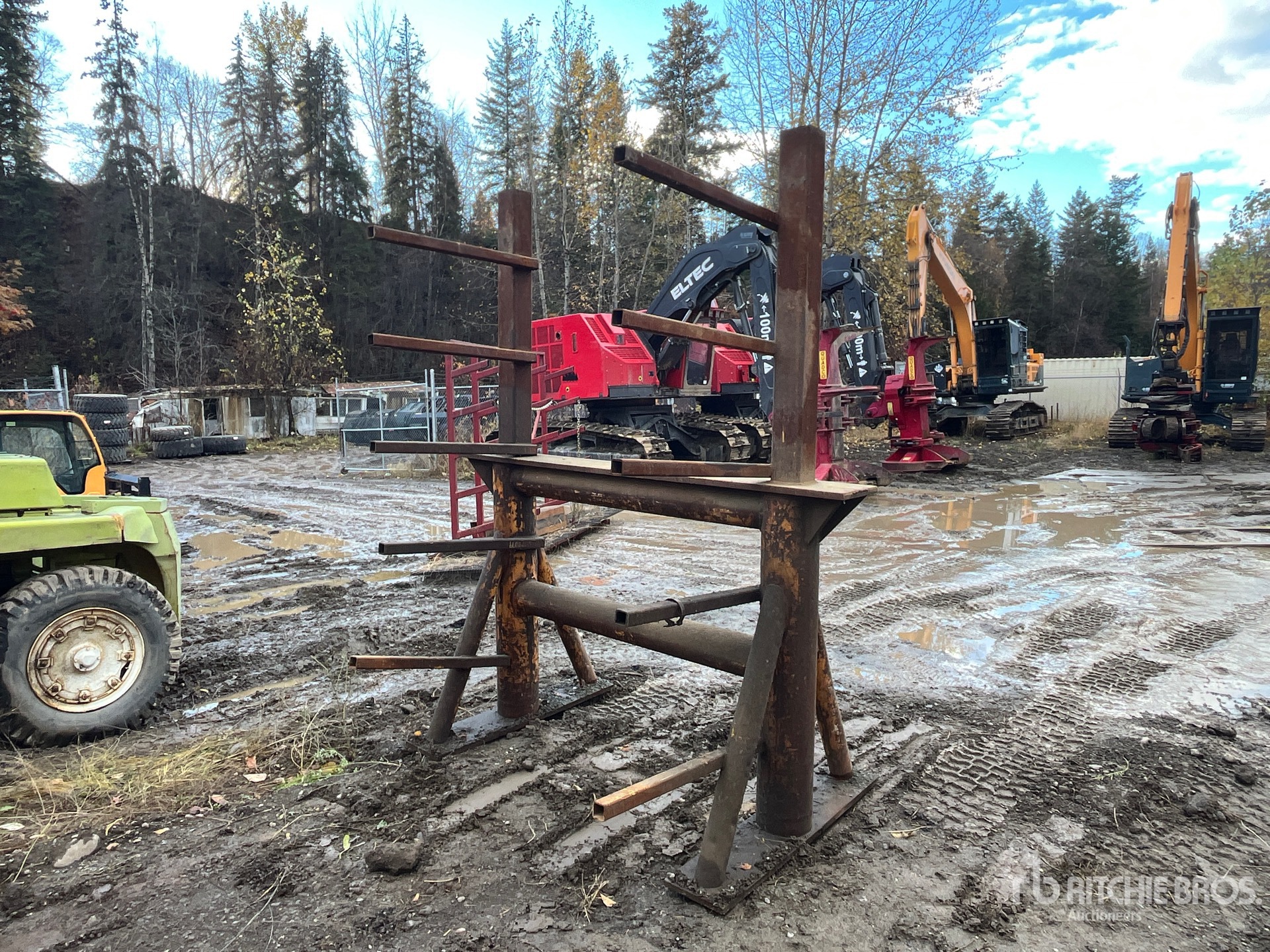 General Appearance with Foto, angolo anteriore sinistro