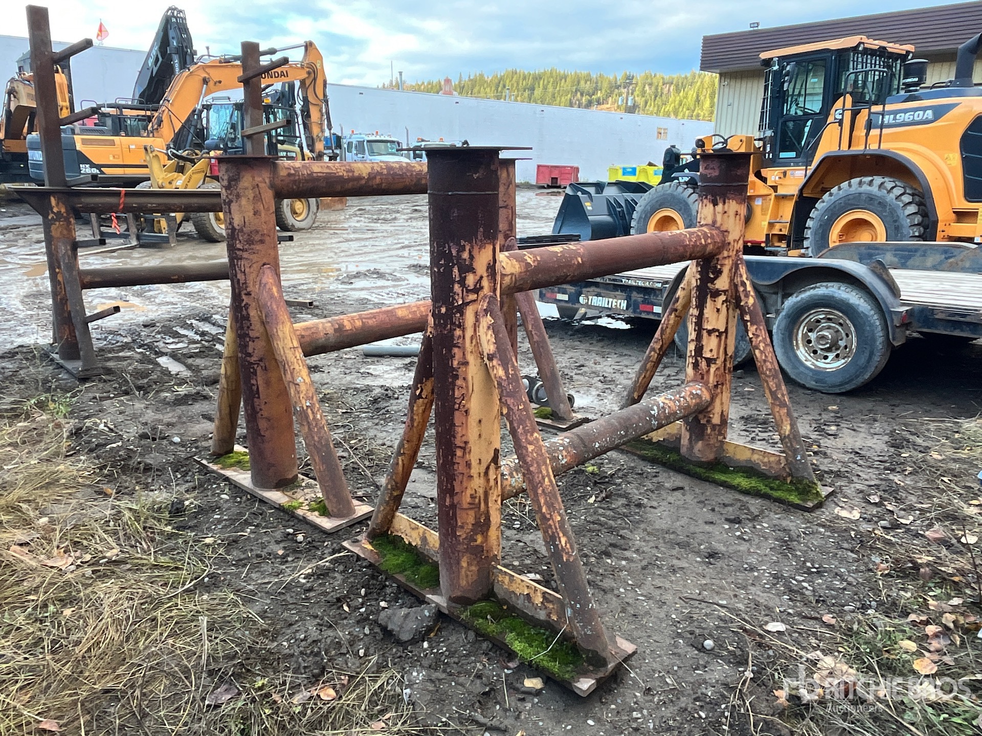 General Appearance with Foto, angolo posteriore sinistro