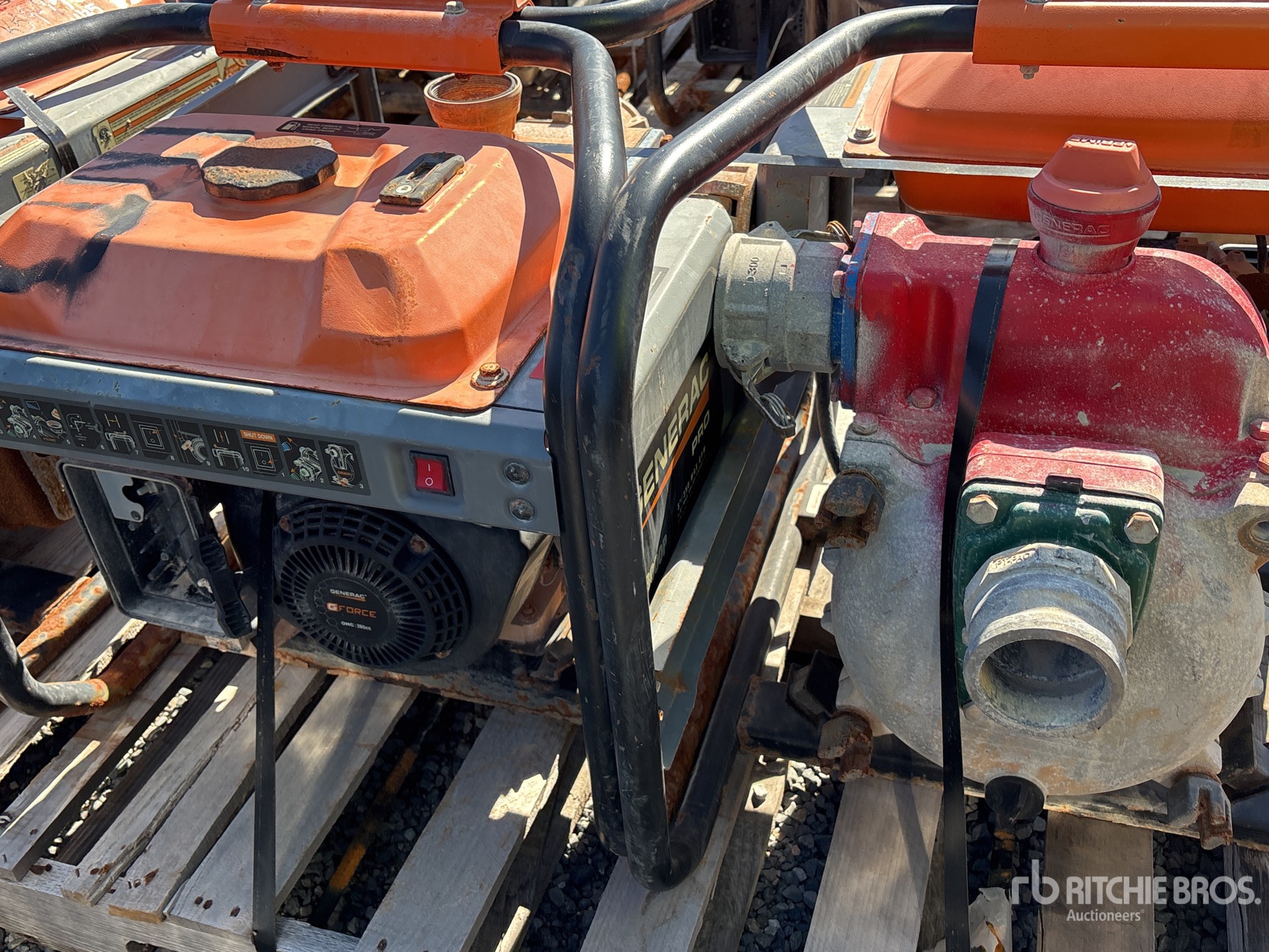 General Appearance with 