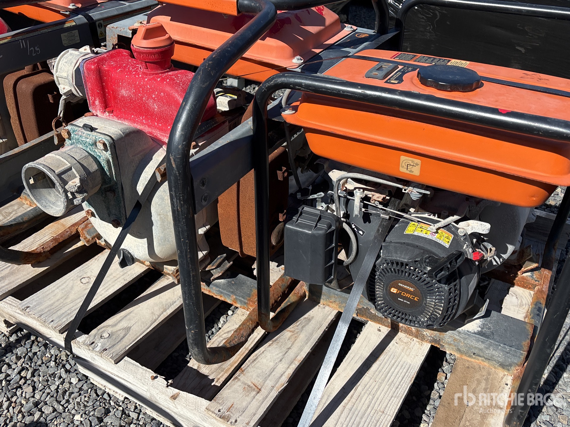 General Appearance with 