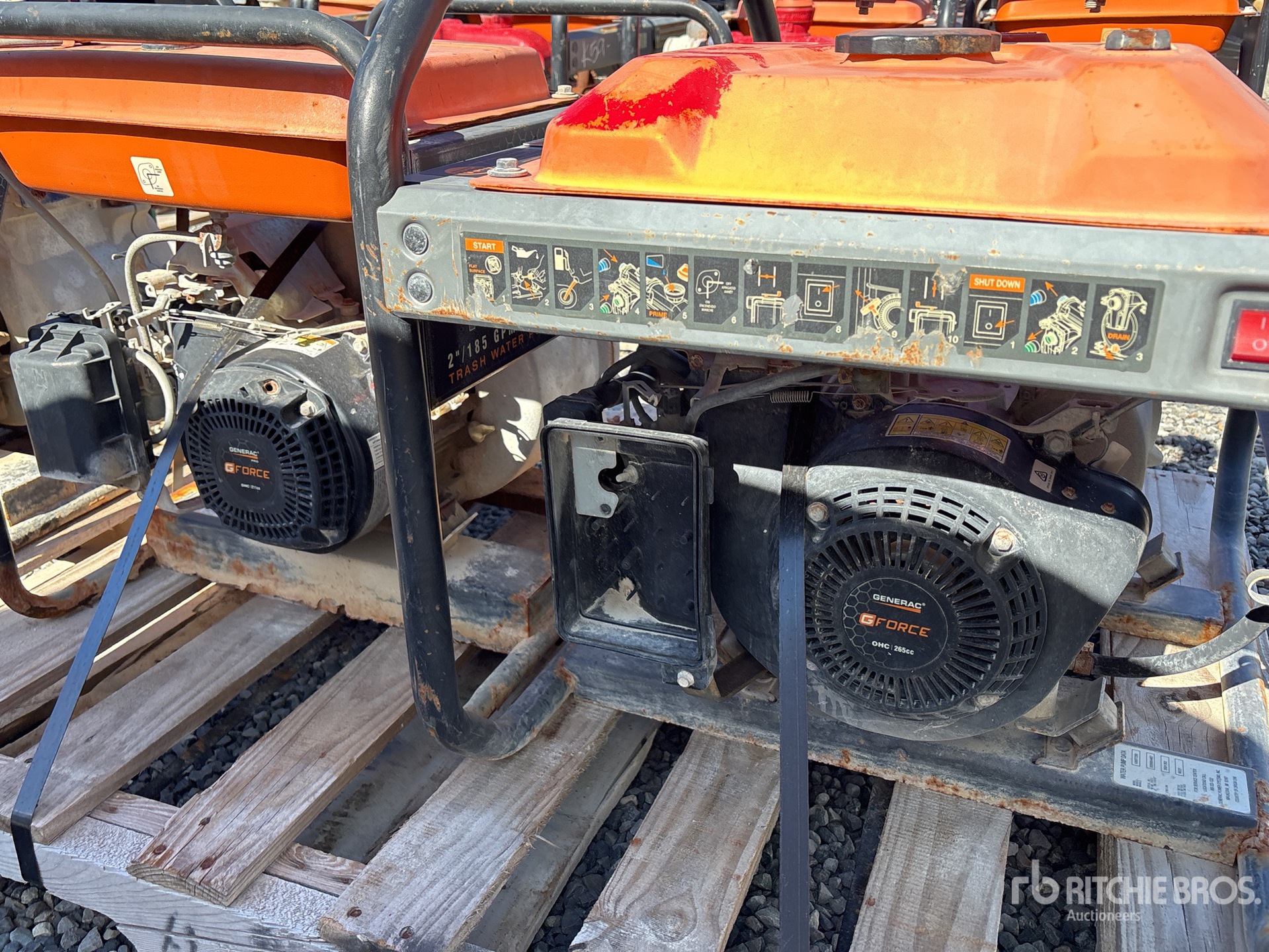 General Appearance with 