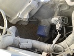 Engine with Oil Leaks