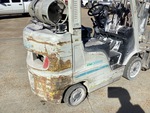 General Appearance with Paint