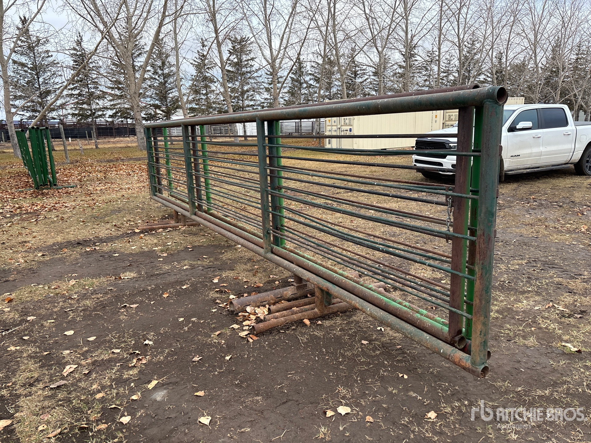 General Appearance with Foto, angolo anteriore sinistro