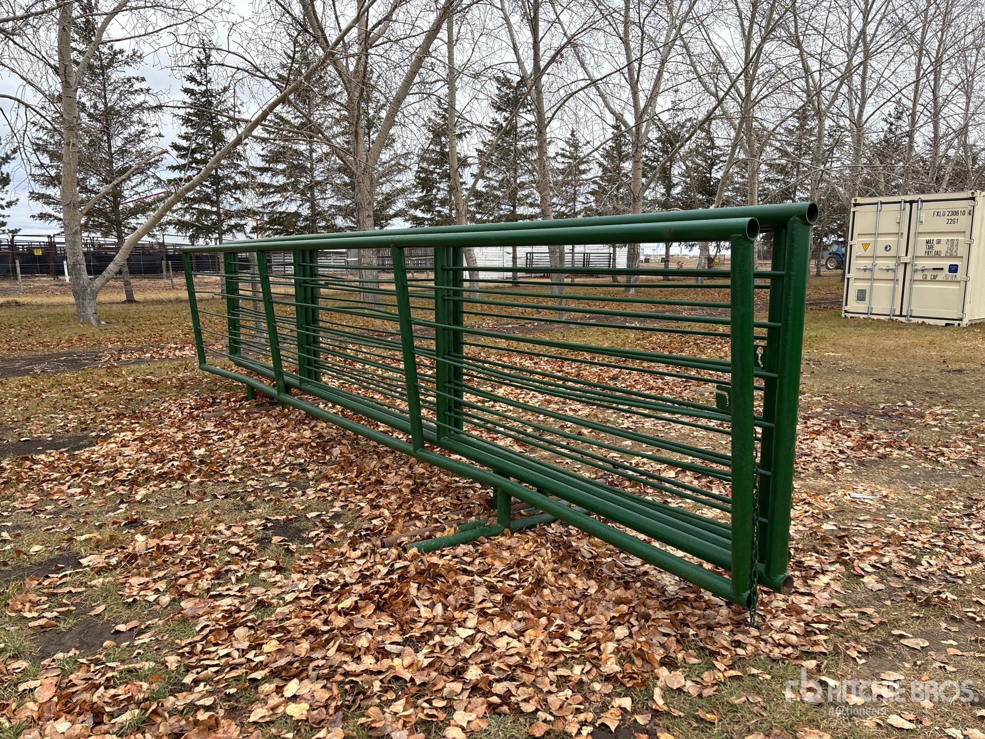 General Appearance with Foto, angolo anteriore sinistro