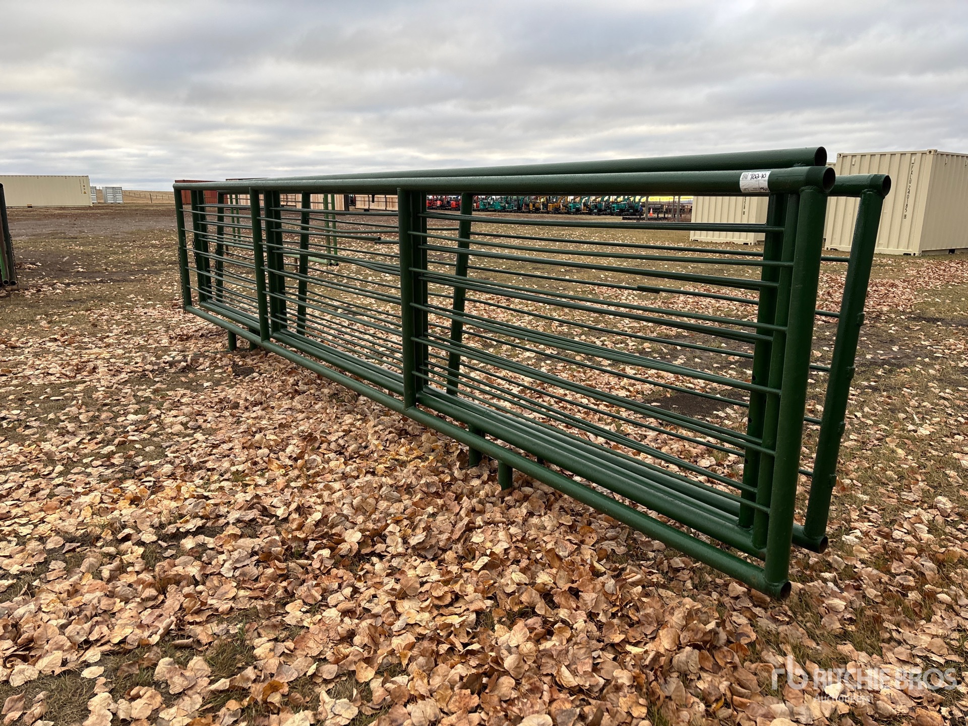 General Appearance with Foto, angolo anteriore sinistro