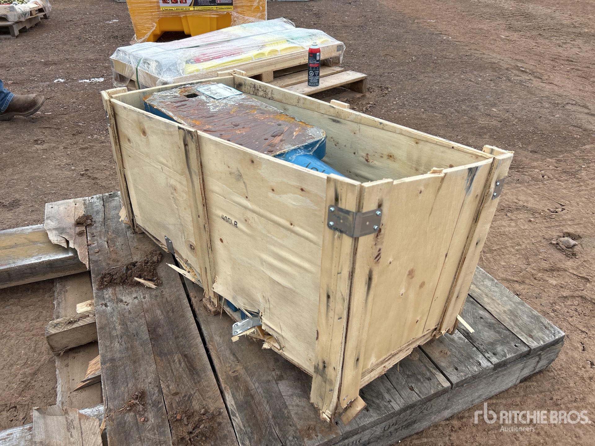 General Appearance with Image, coin arrière droit