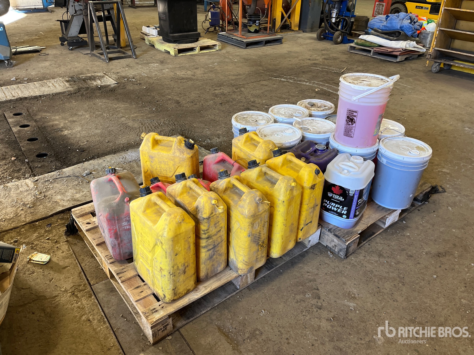 General Appearance with Foto, angolo anteriore sinistro