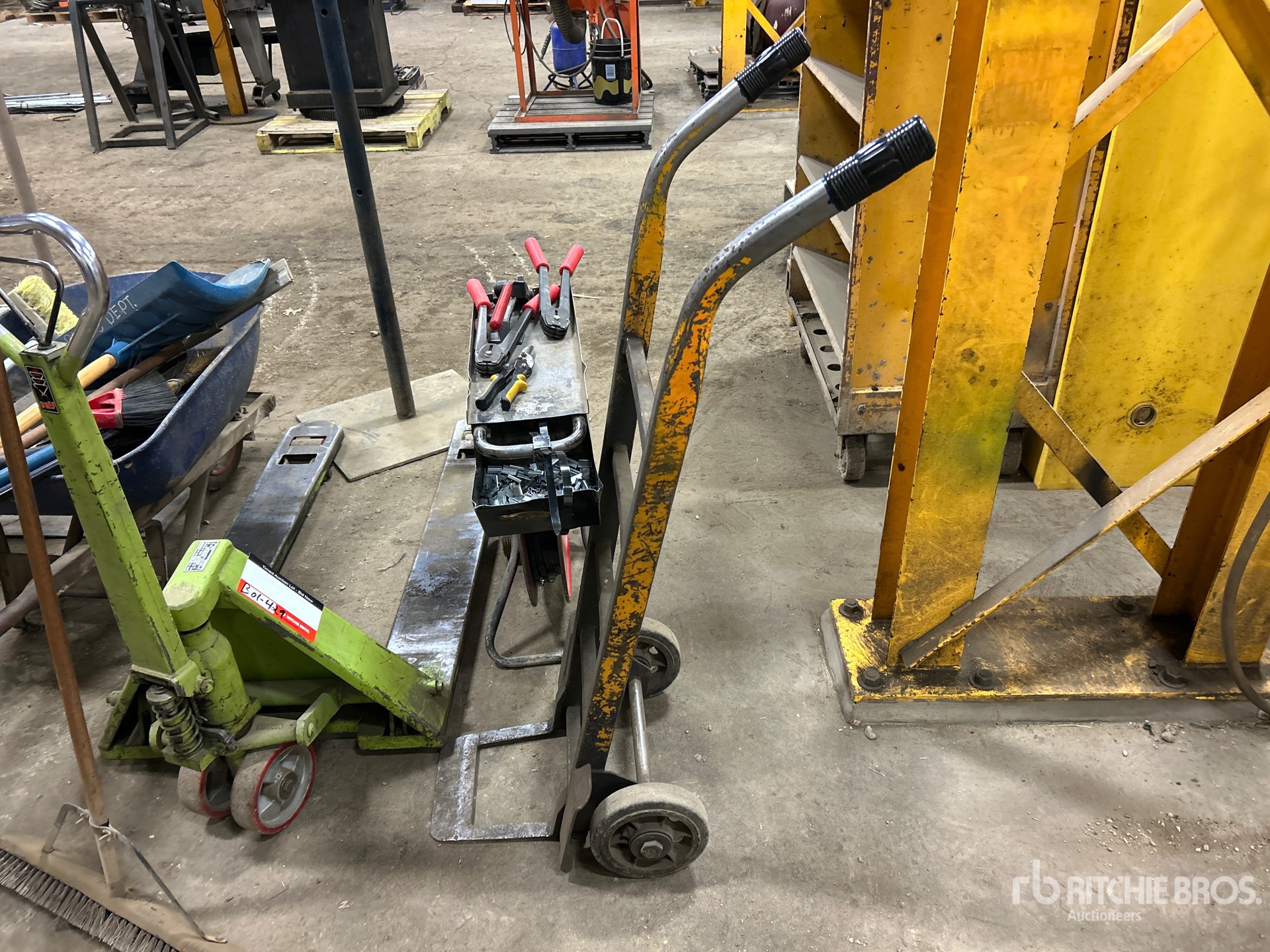 General Appearance with 