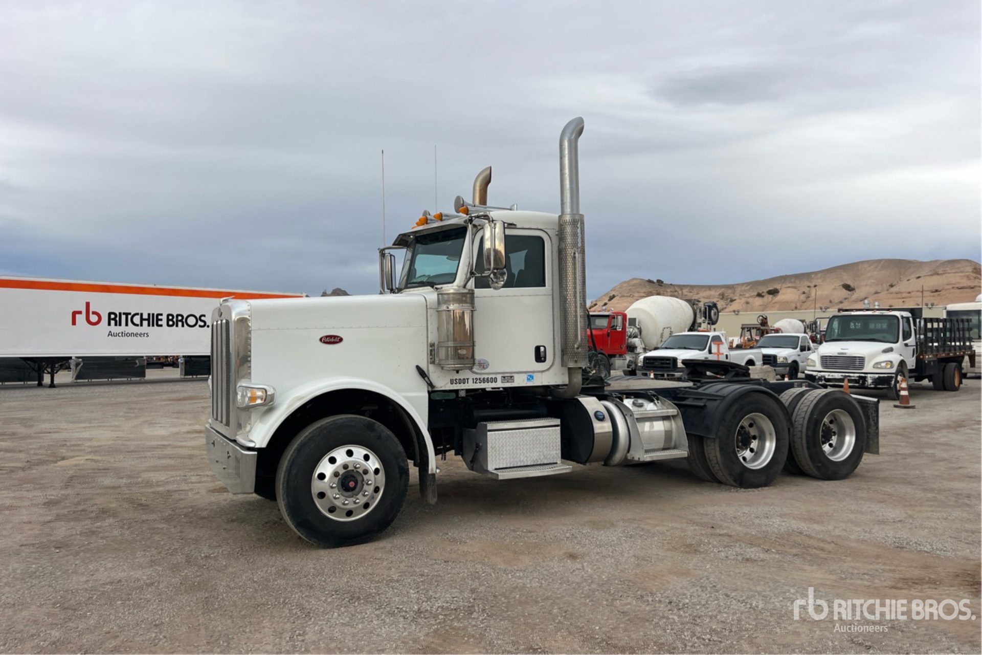 General Appearance with Spin