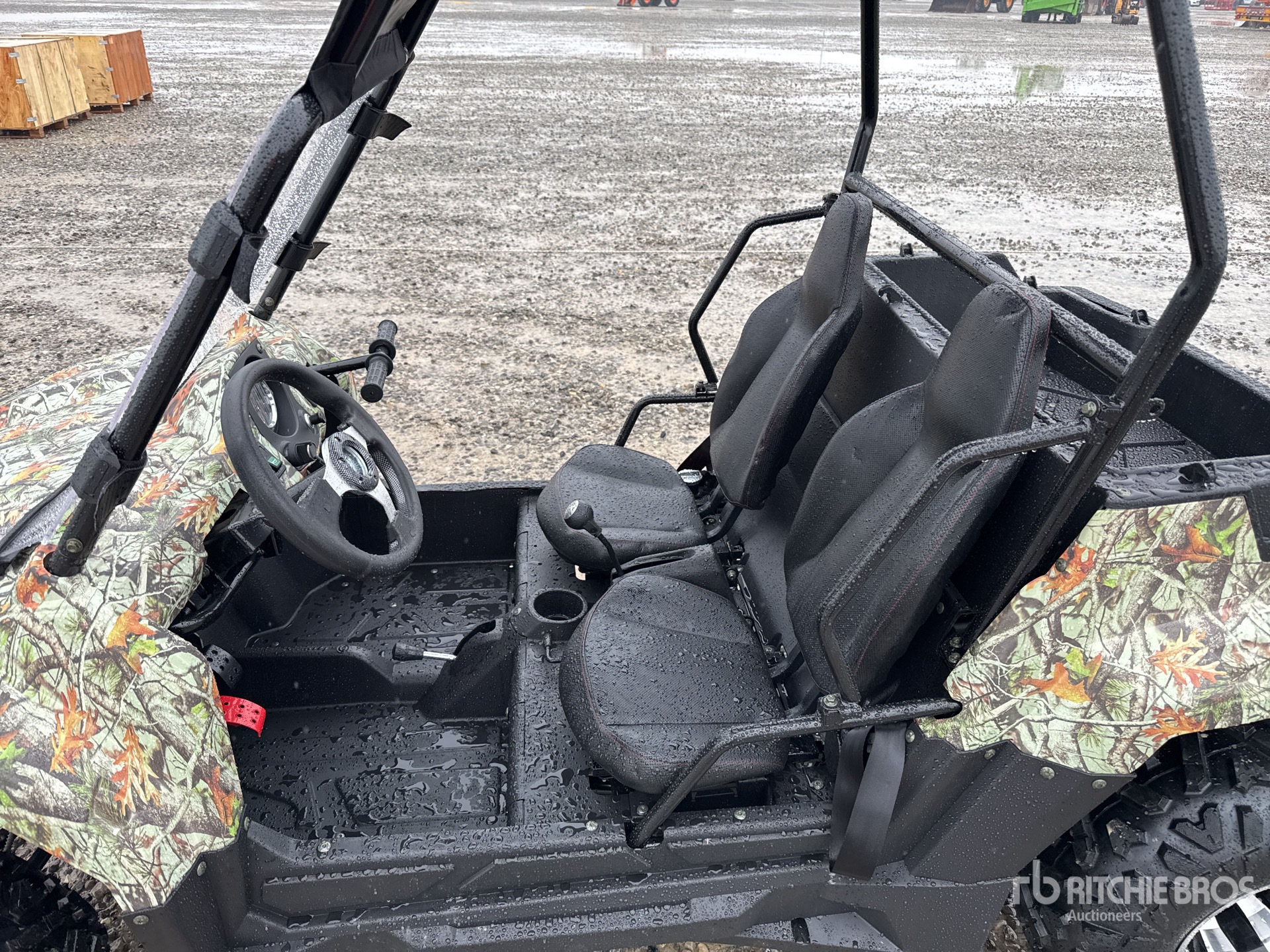 General Appearance with