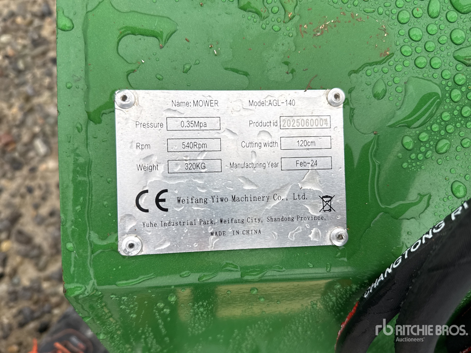 General Appearance with