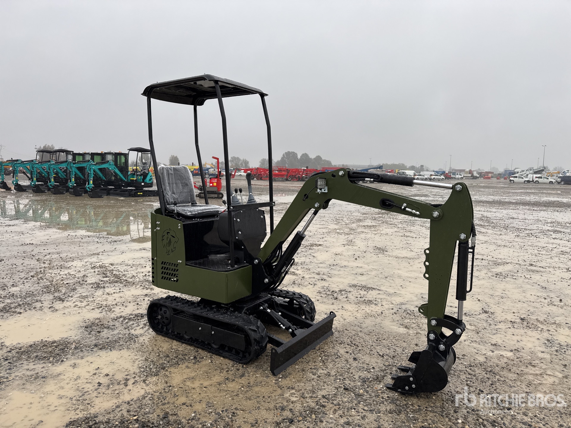 General Appearance with