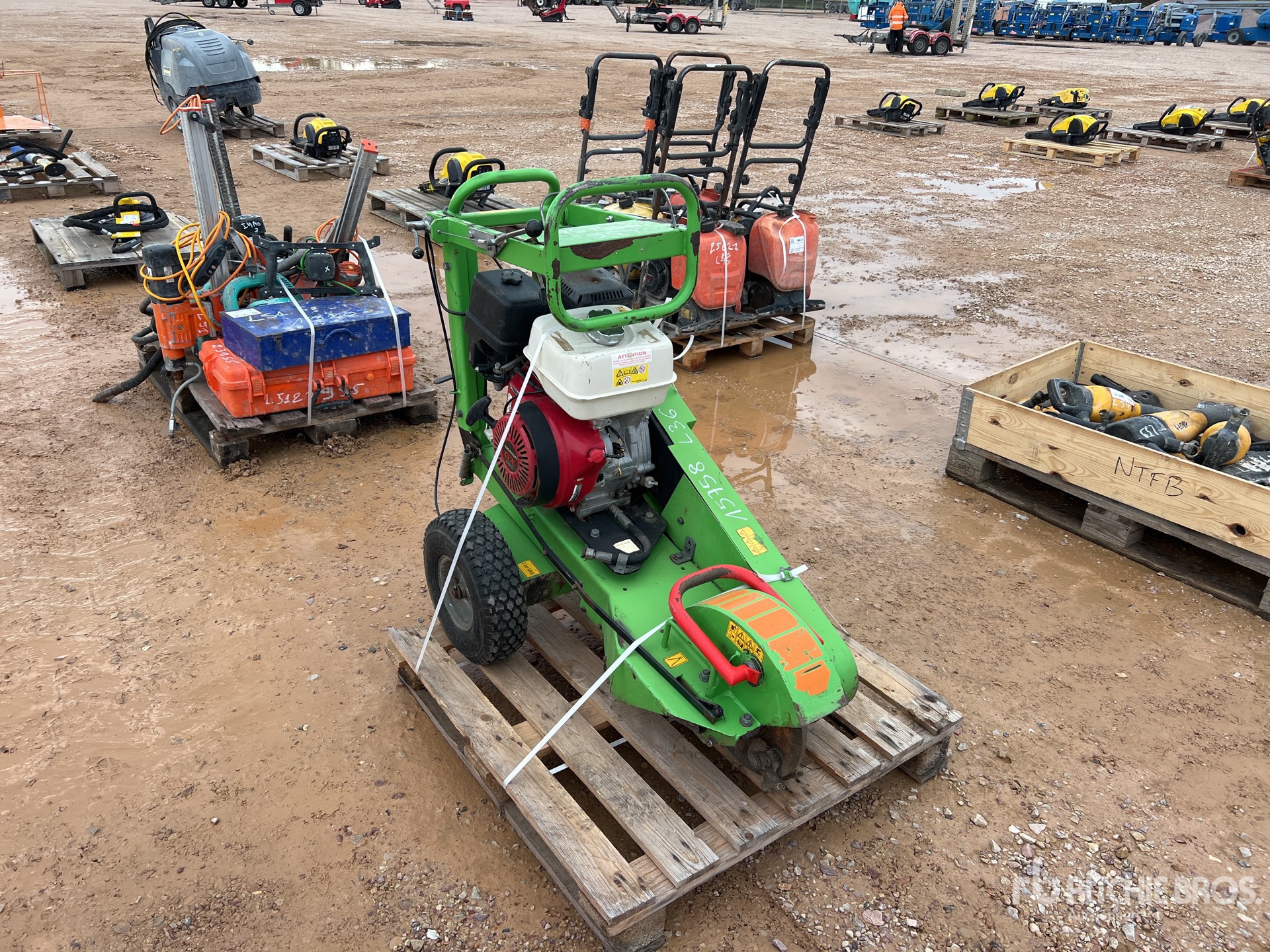 General Appearance with