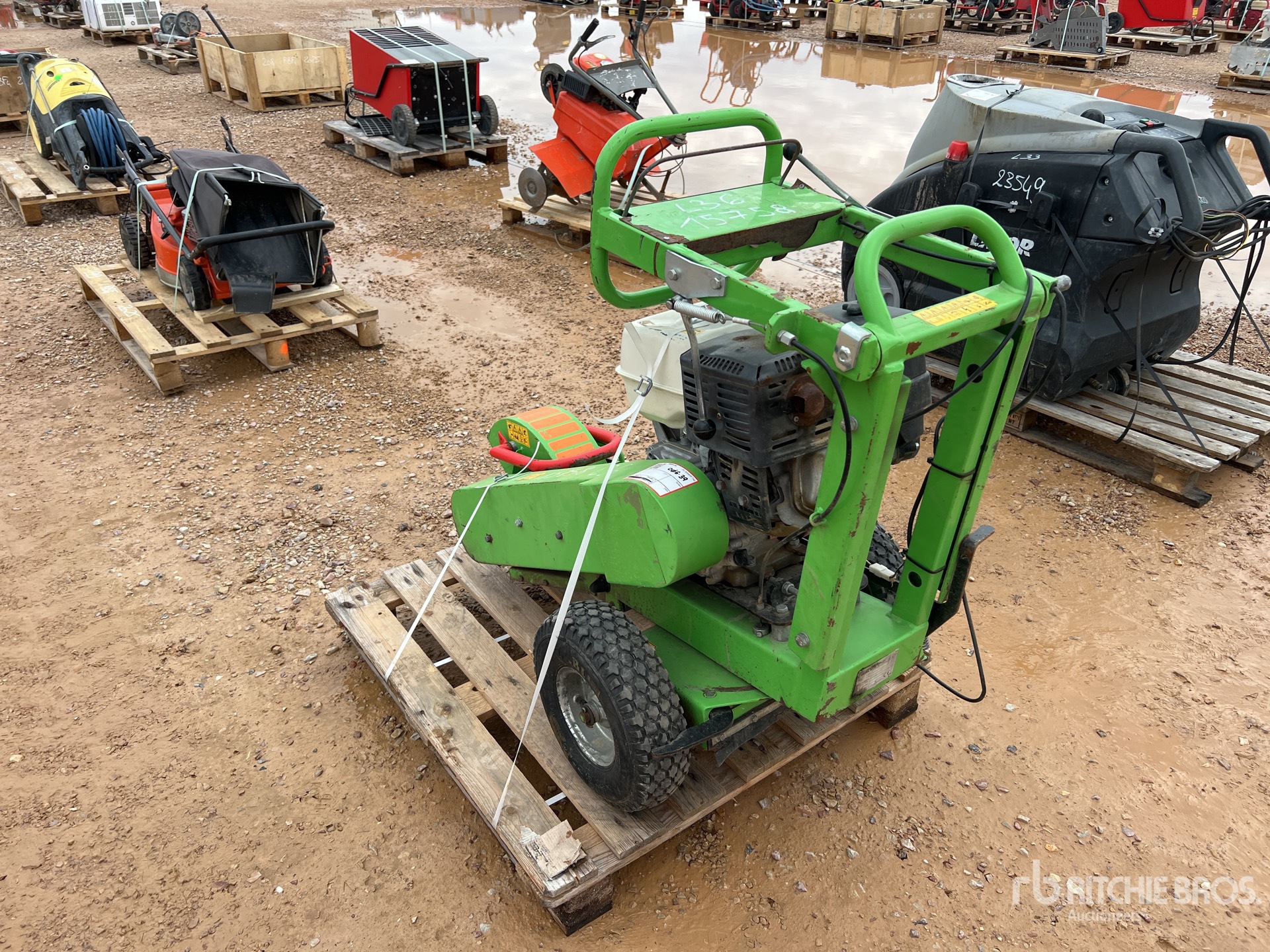 General Appearance with