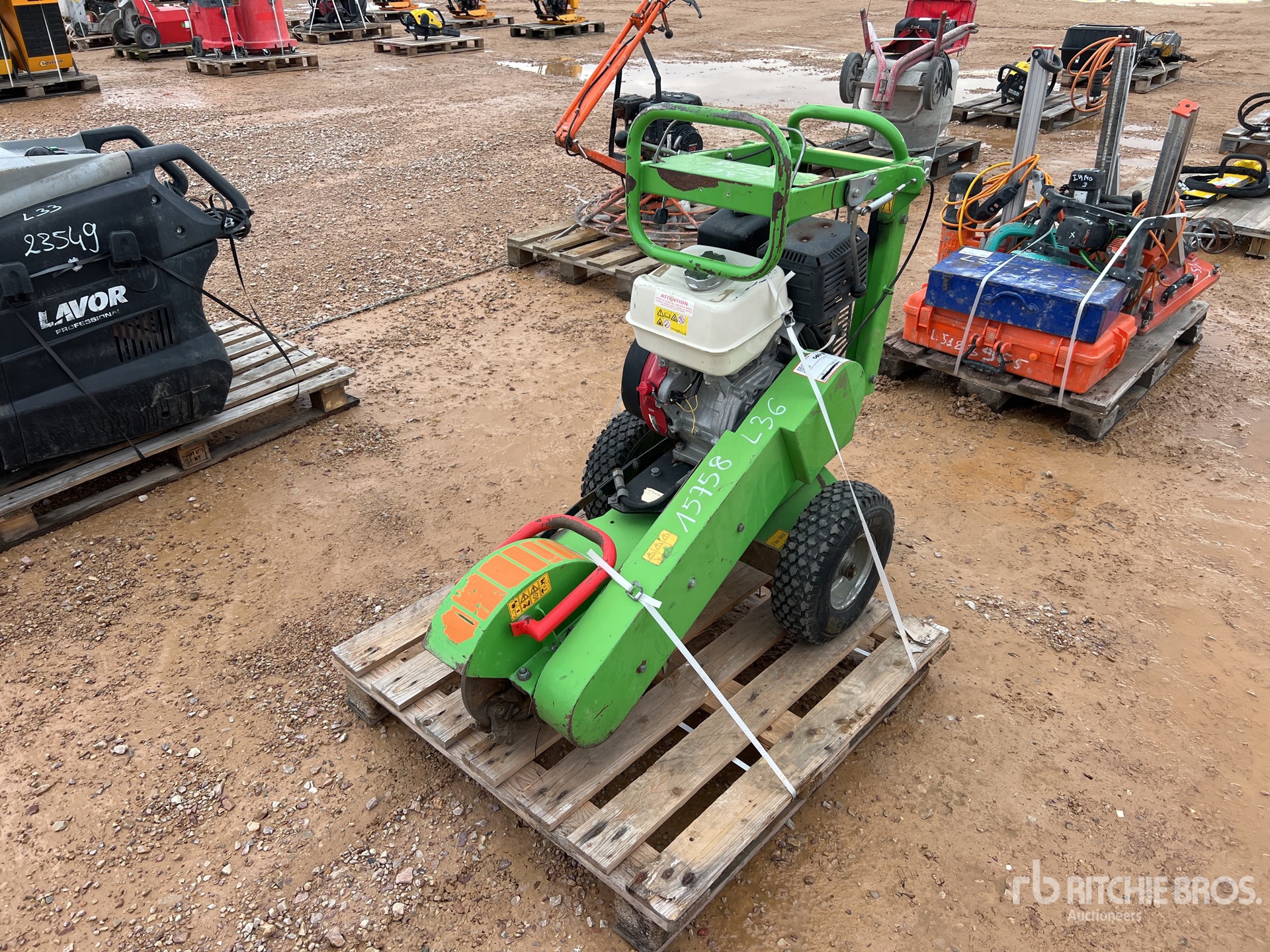 General Appearance with